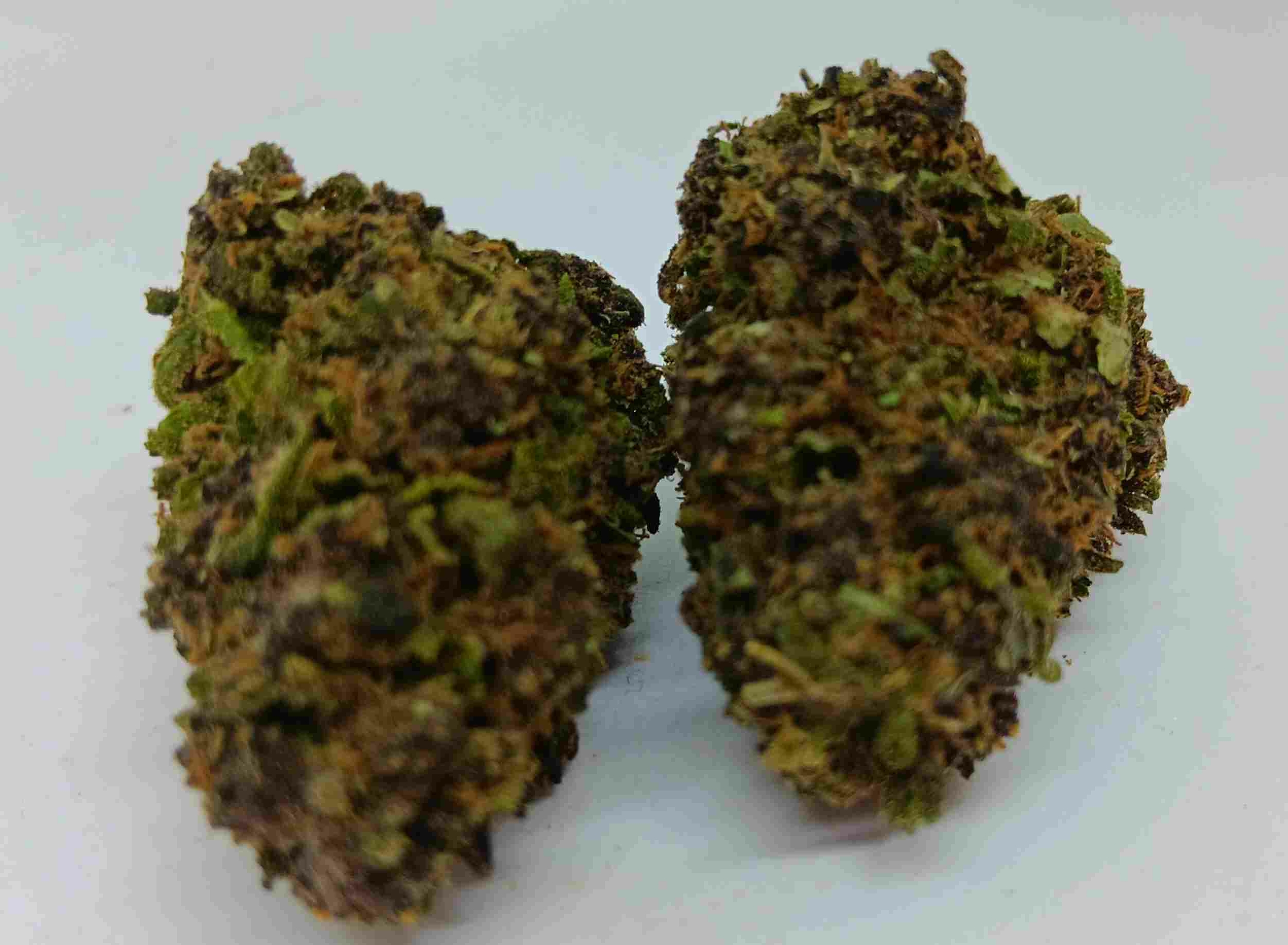 purple cbd citrus