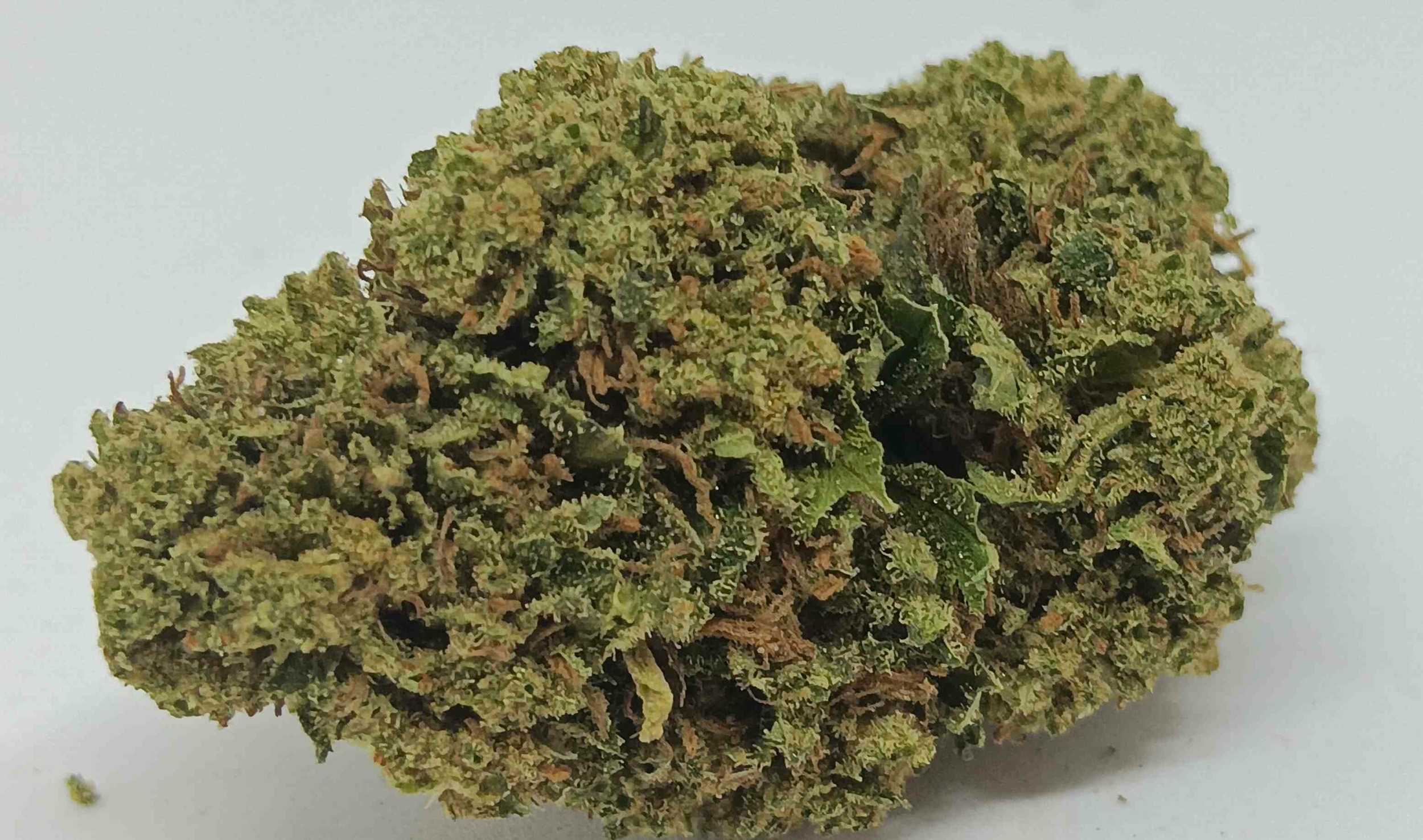 G13 CBD
