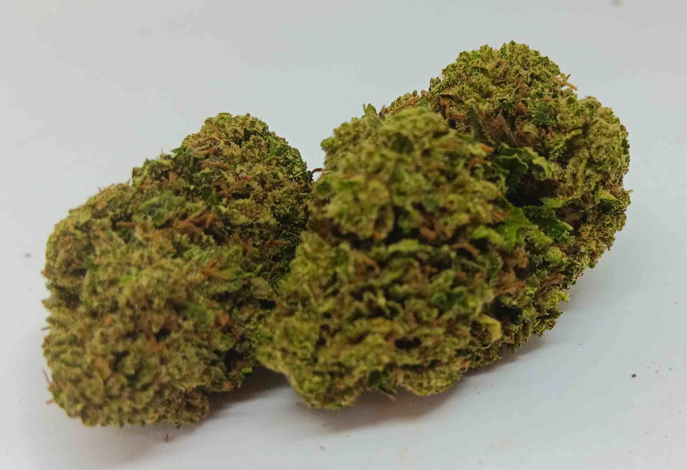 G13 CBD
