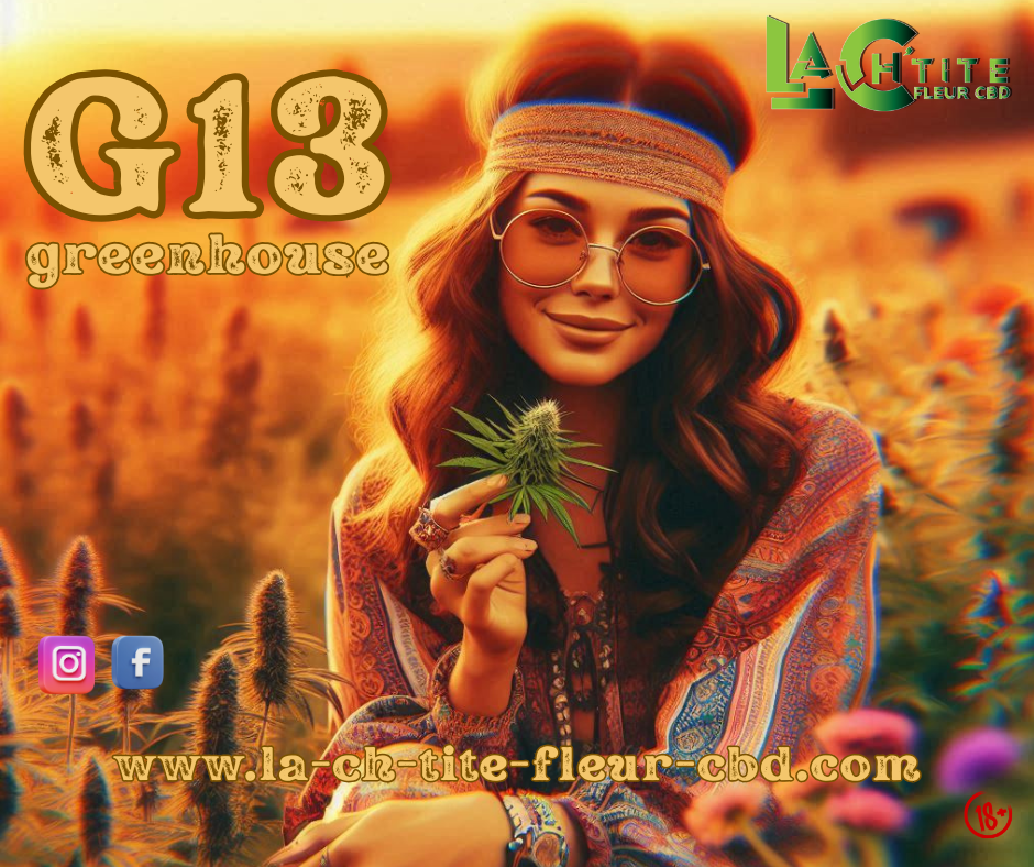 G13 CBD