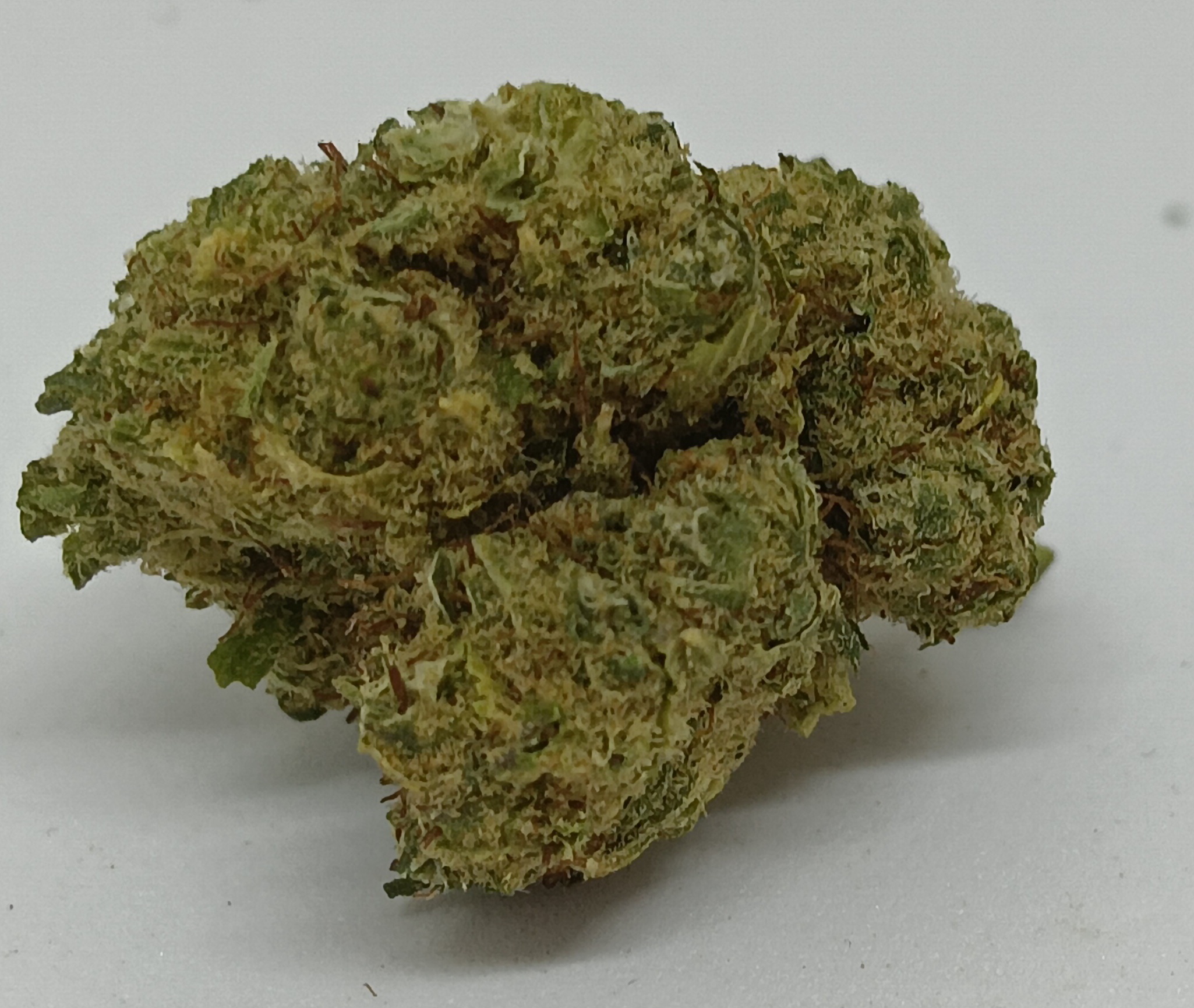 orange sorbet indoor