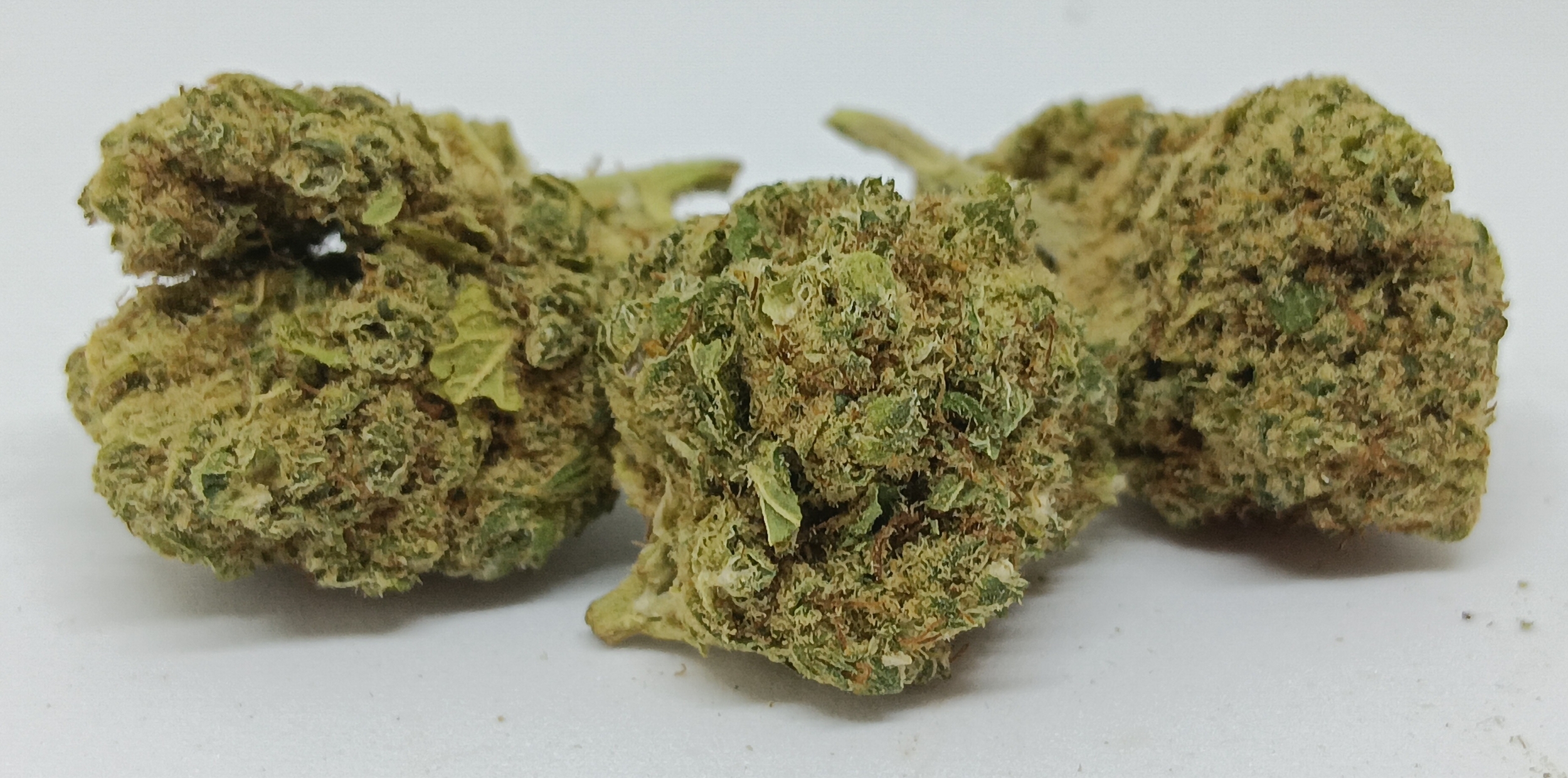 orange sorbet cbd indoor