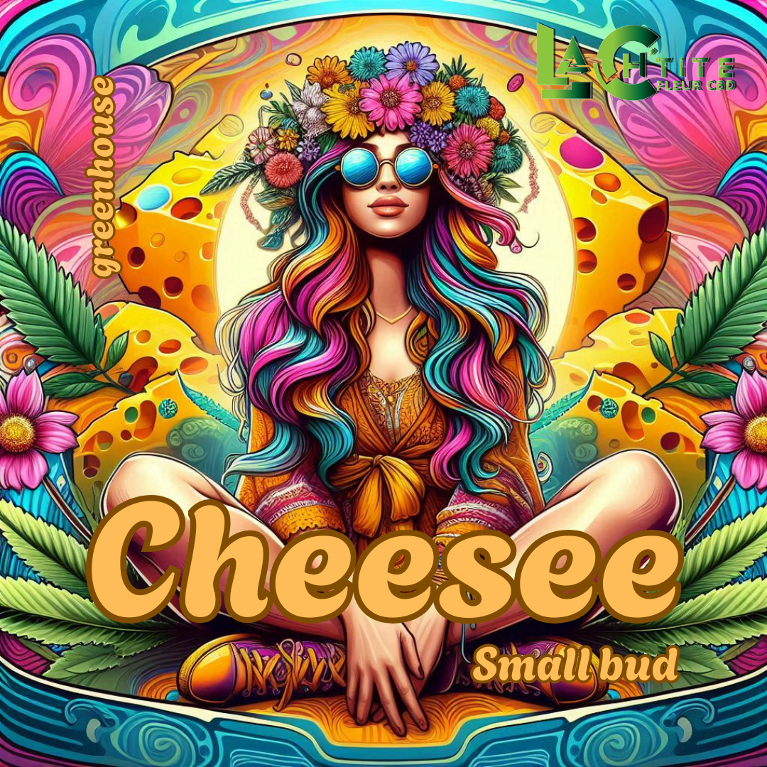 cheese CBD