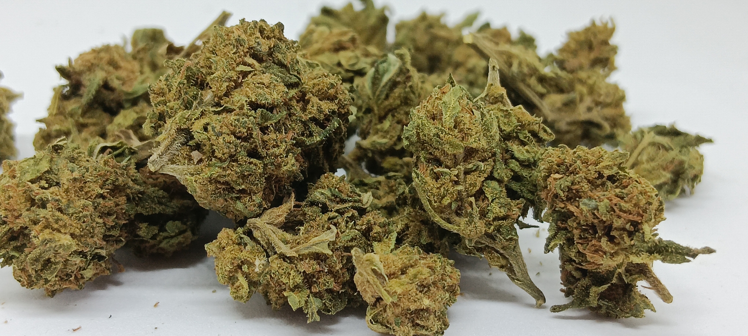 CHEESE CBD