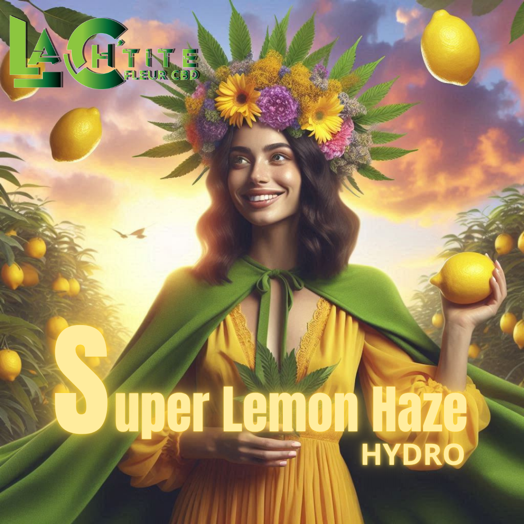 super lemon haze hydro