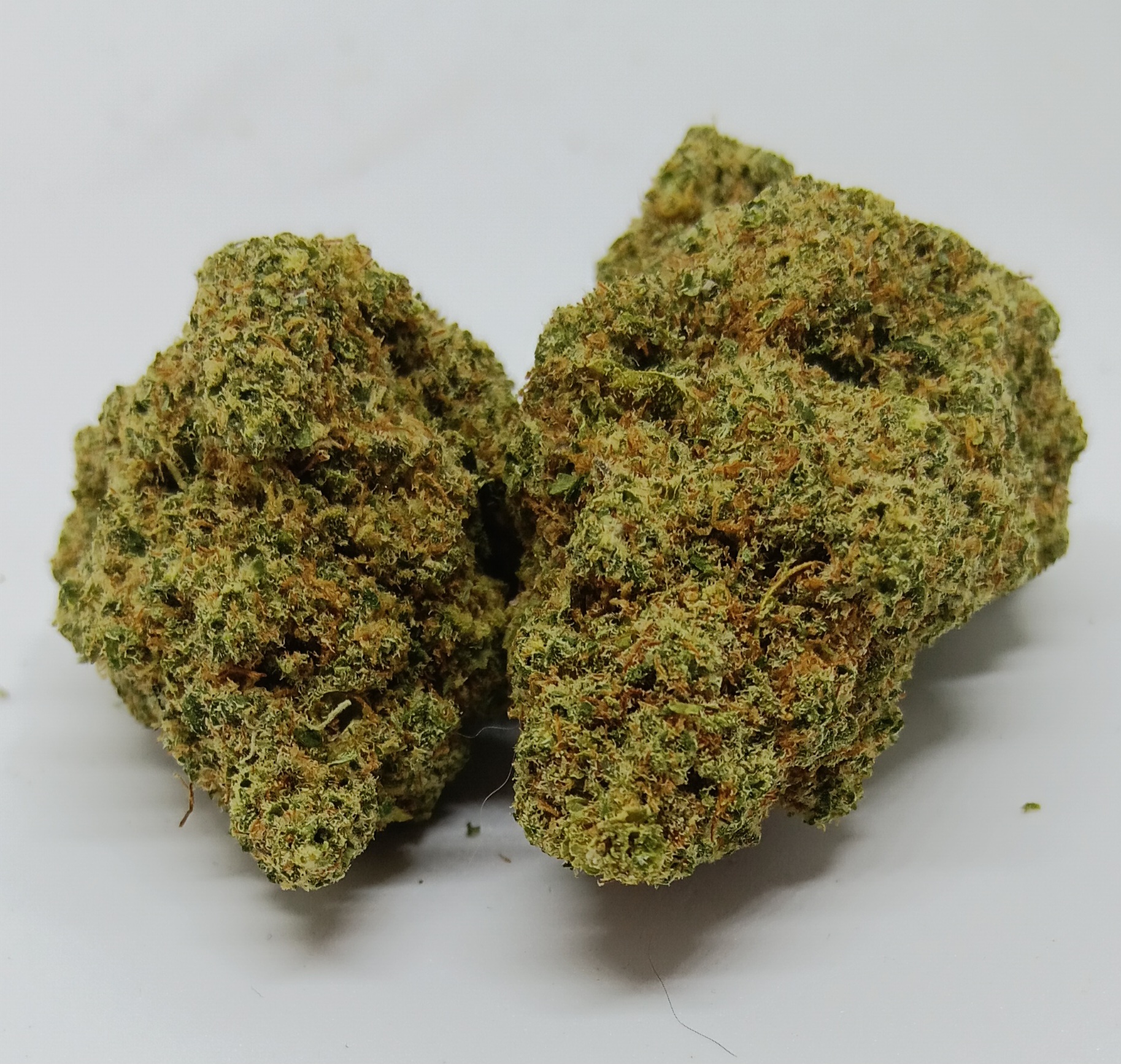 lemon meringue cbd