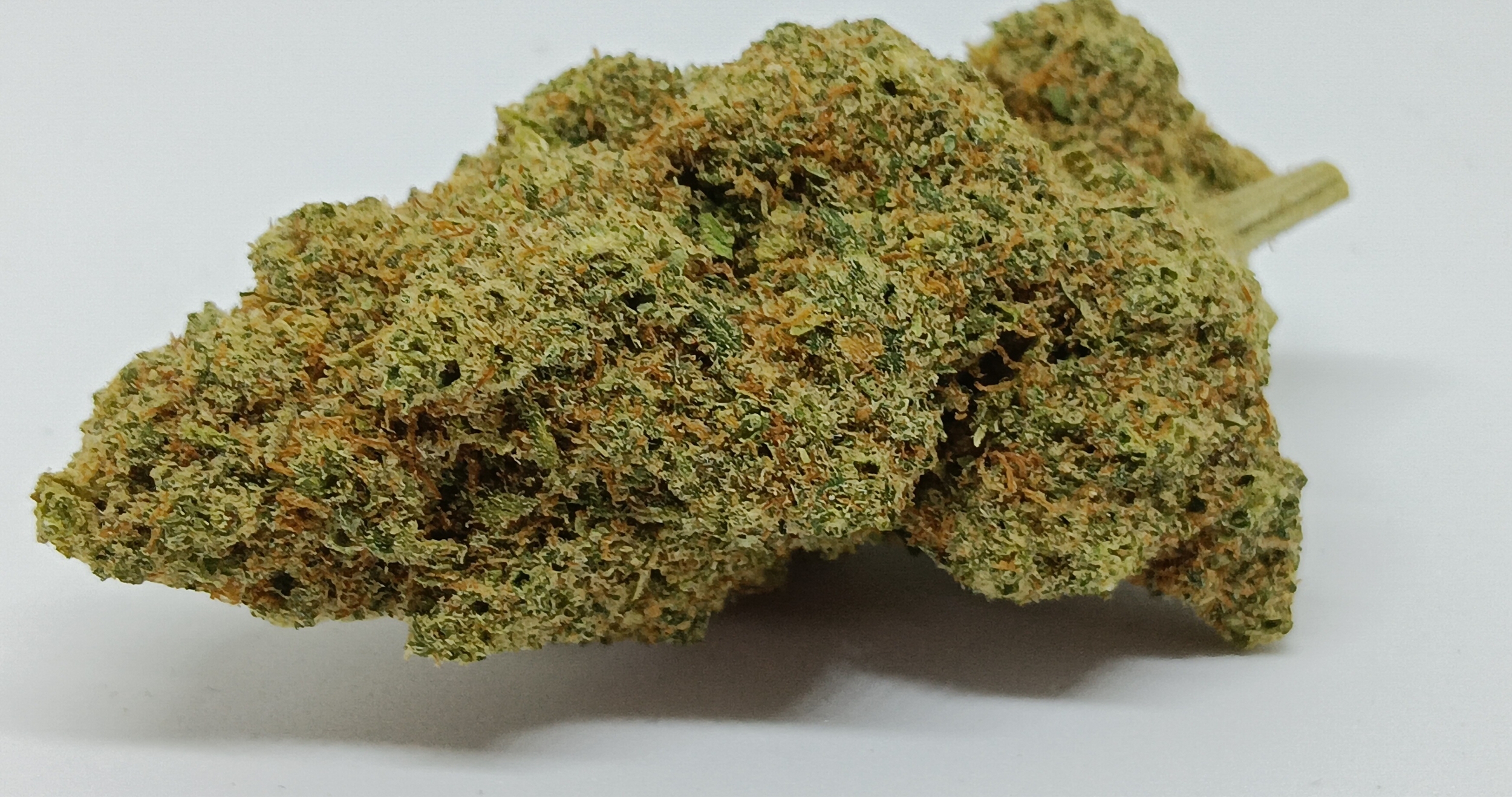 lemon meringue cbd