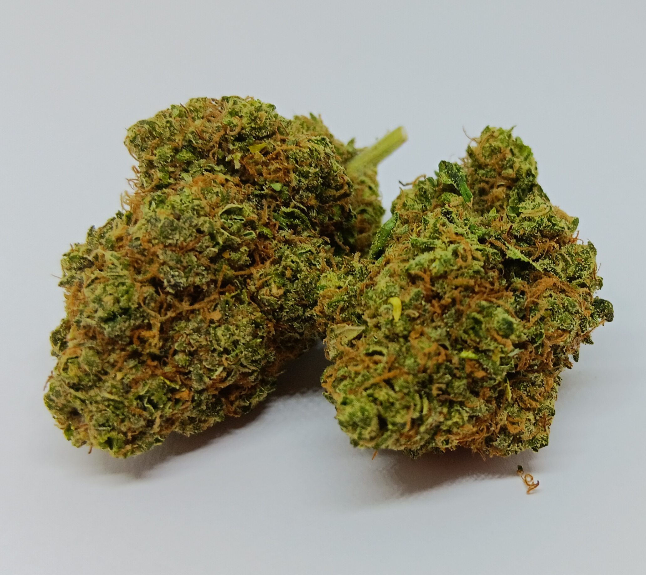 alien gelato cbd