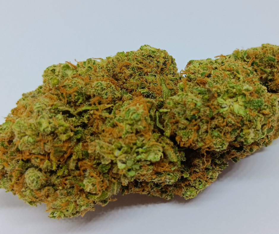 gorilla us