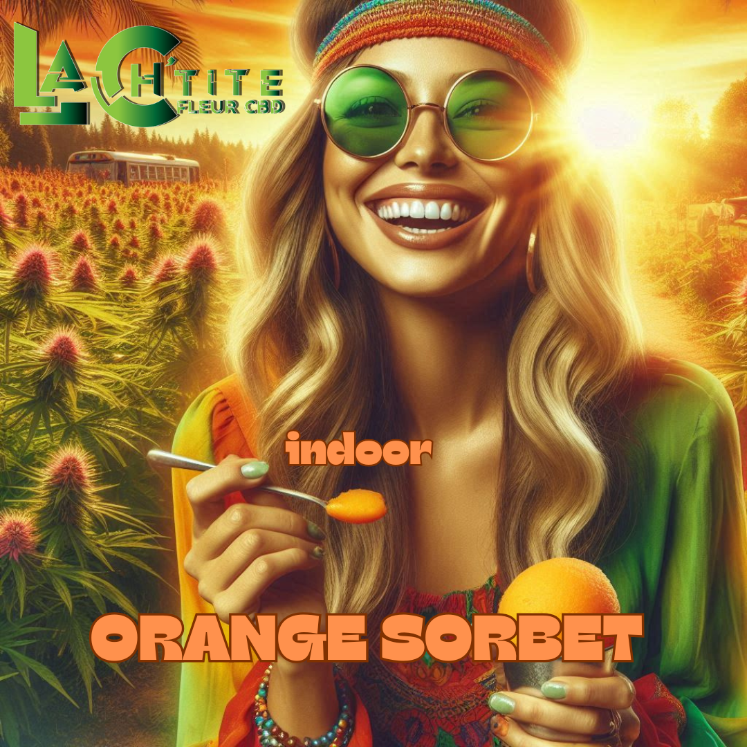 Orange sorbet indoor