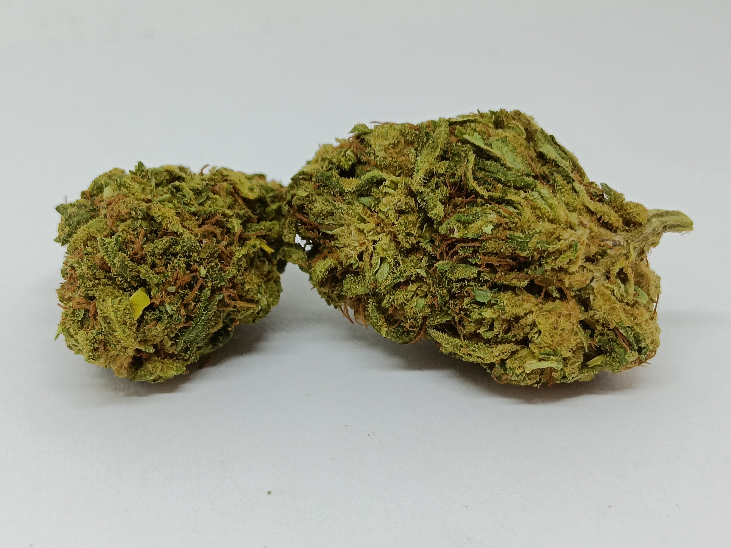 AK47 CBD