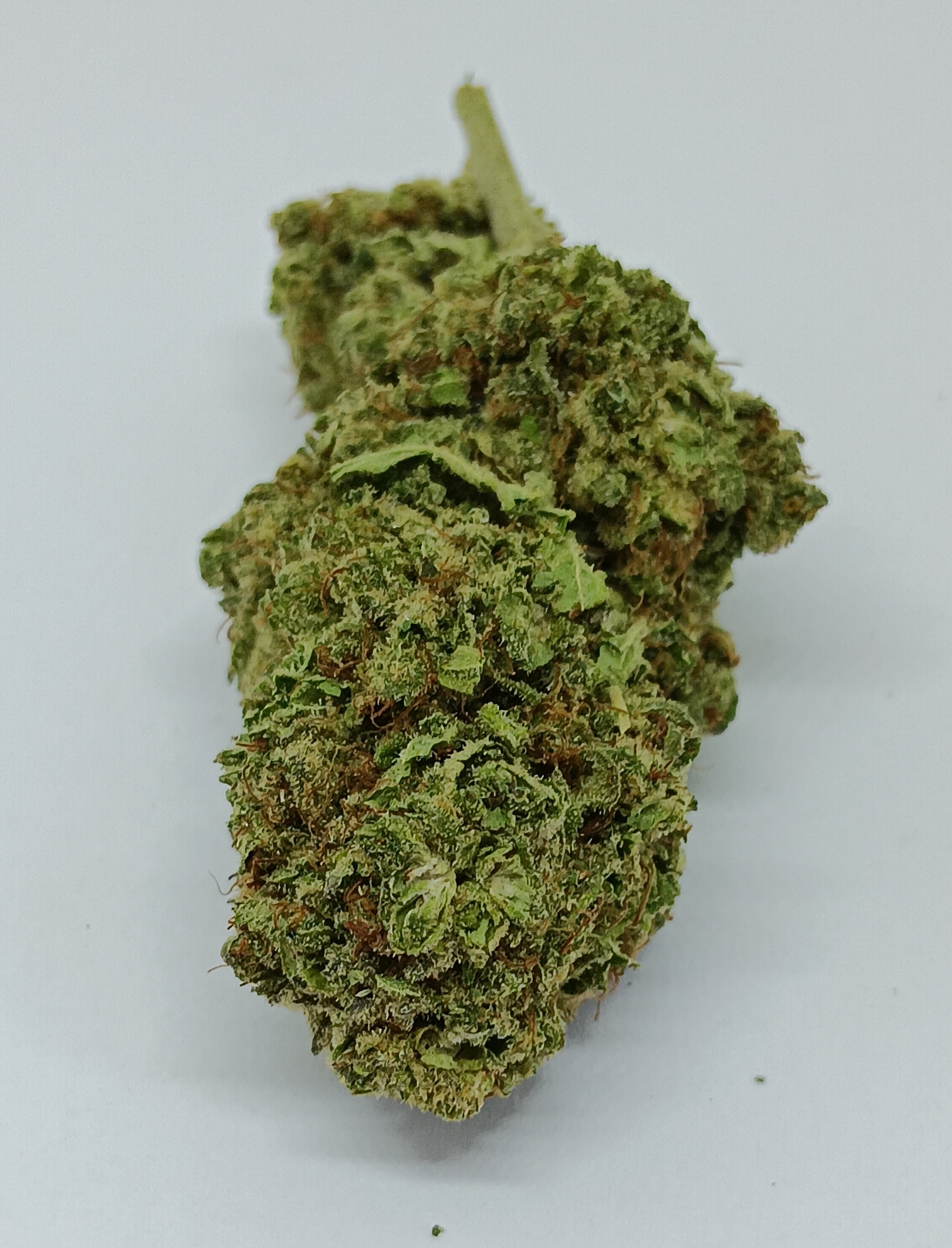 malabar cbd