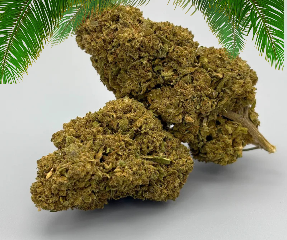 tropicana CBD