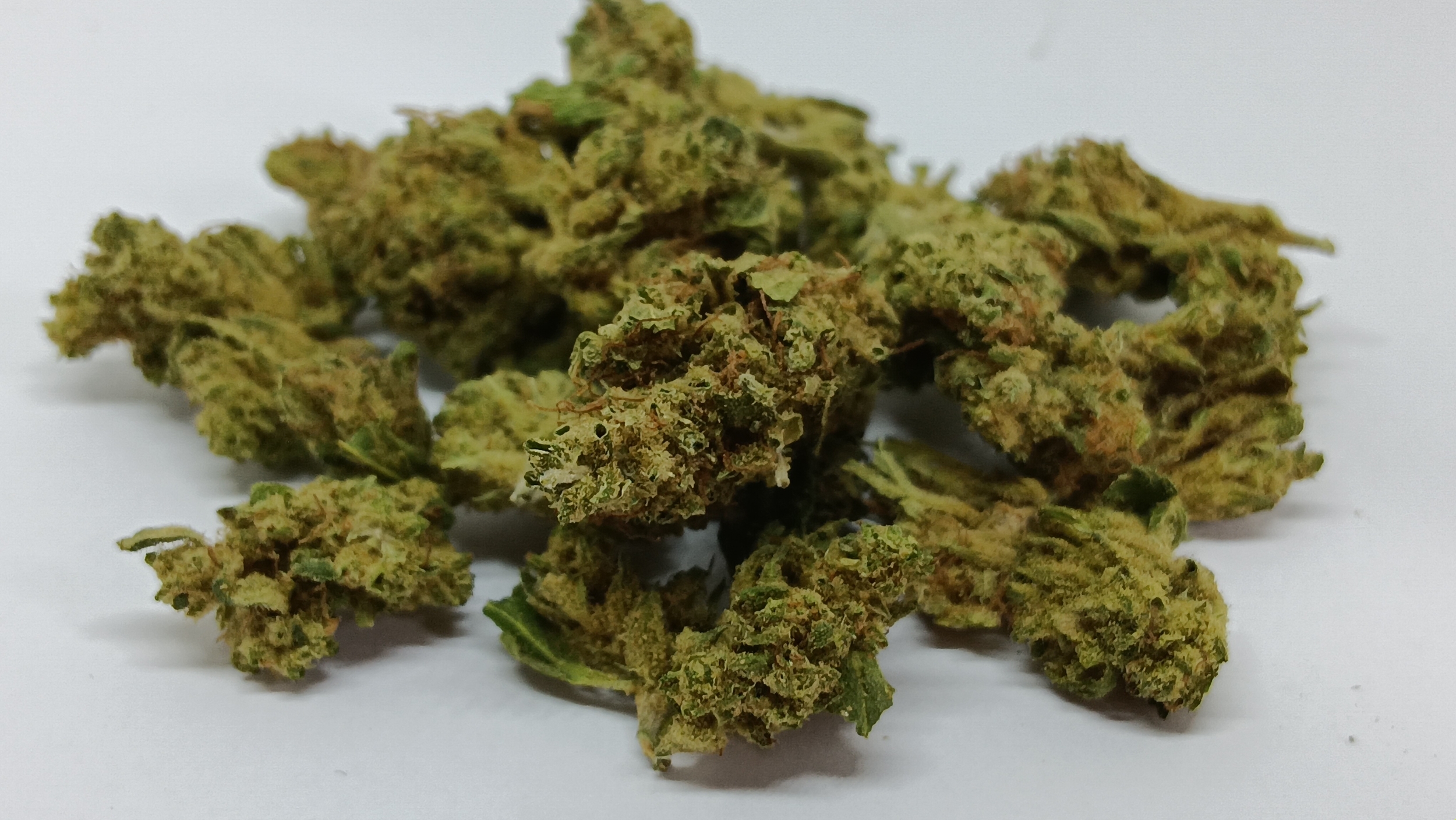 sweetcherry small