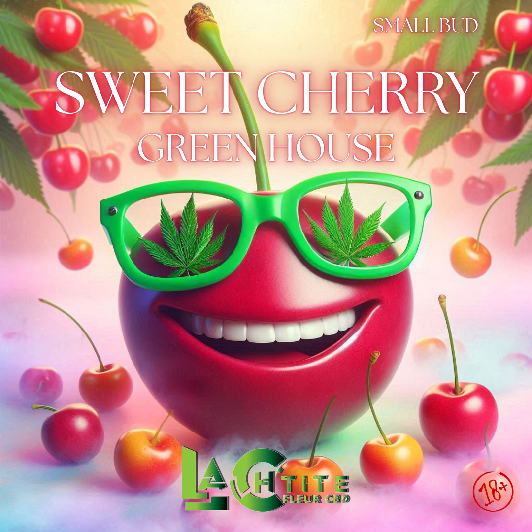 Fleur CBD Sweet Cherry – Small Bud – Greenhouse