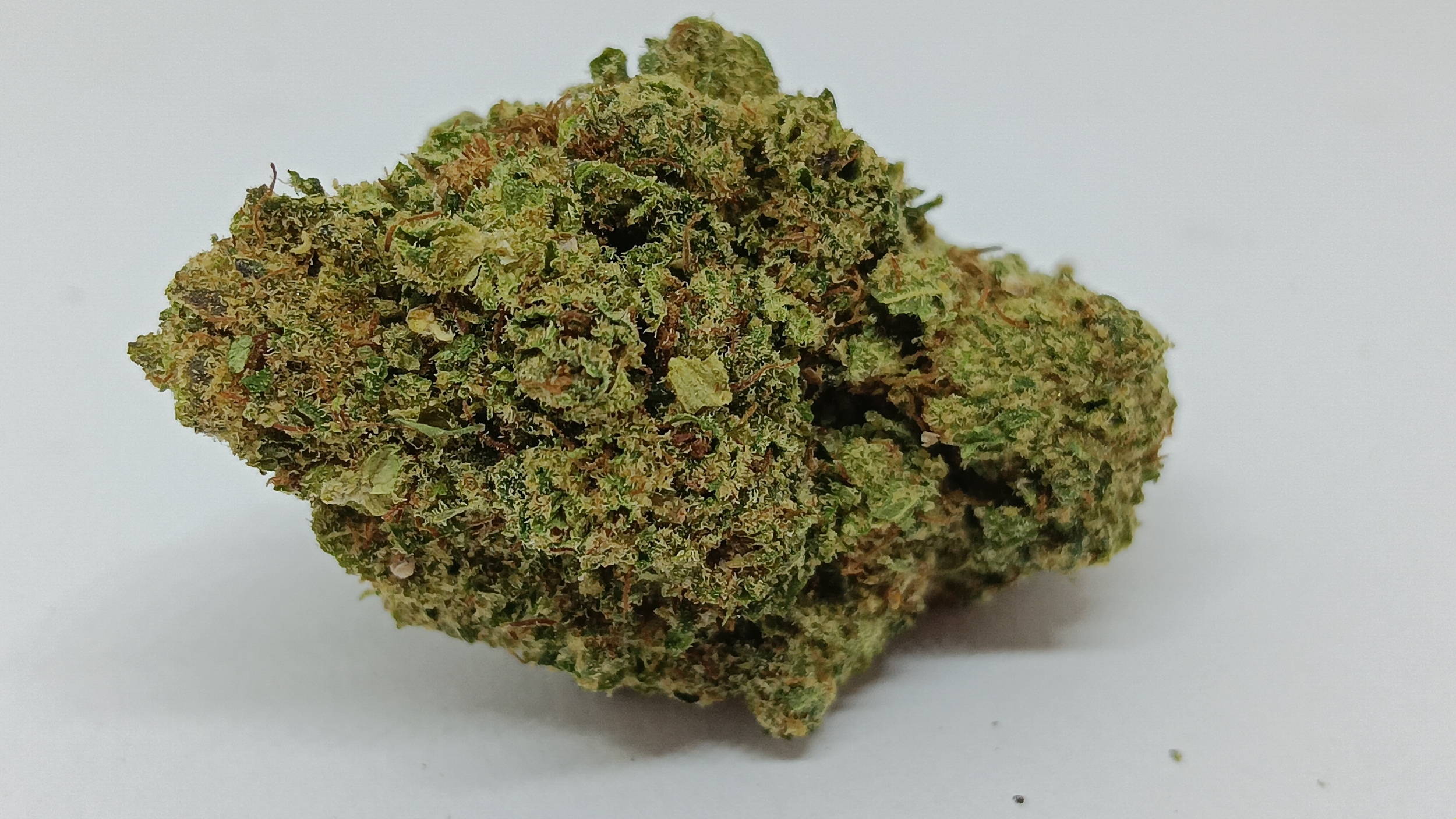 Fleur CBD Bubble Gum Indoor – Premium Suisse