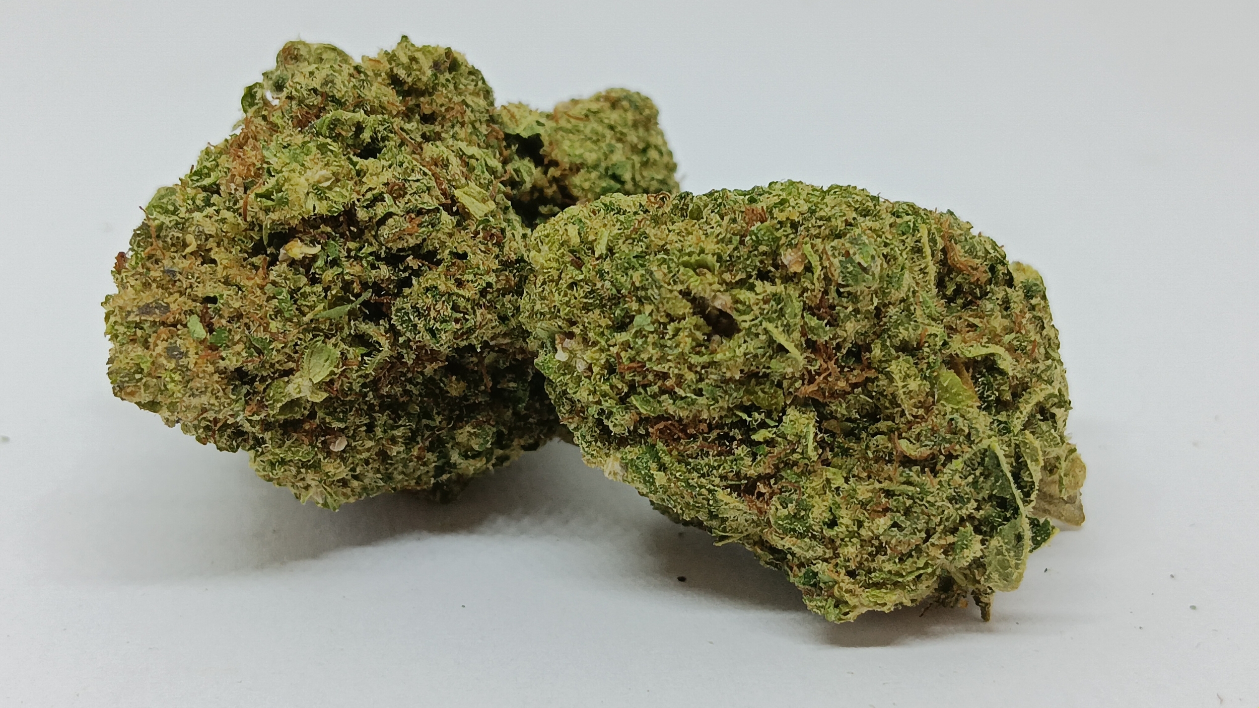 bubblegum