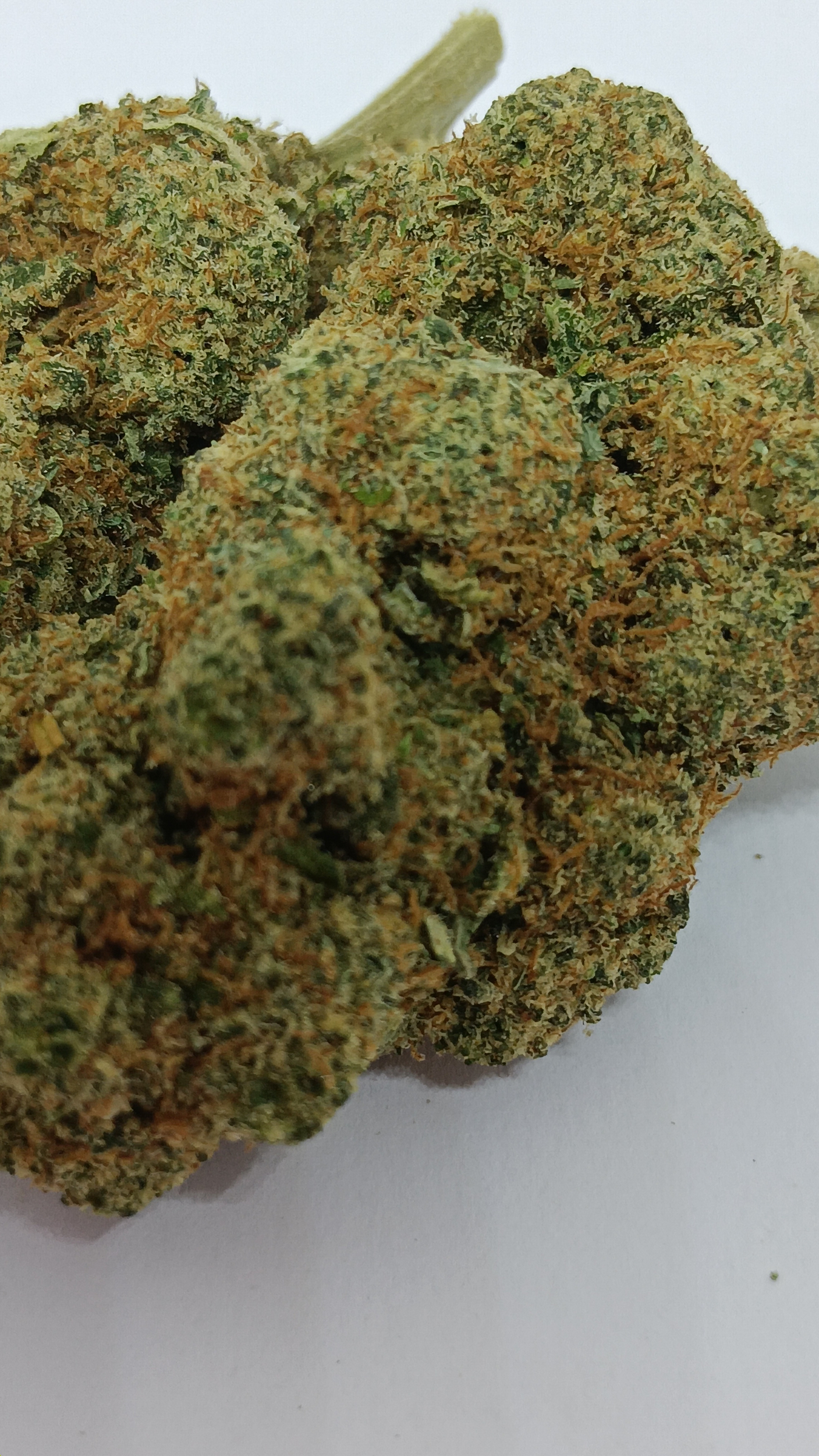 skittlez cbd
