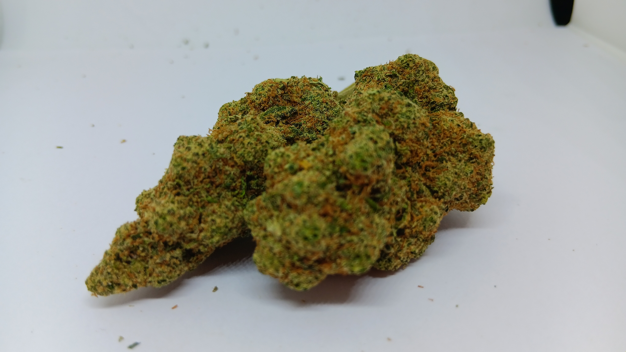 skittlez indoor