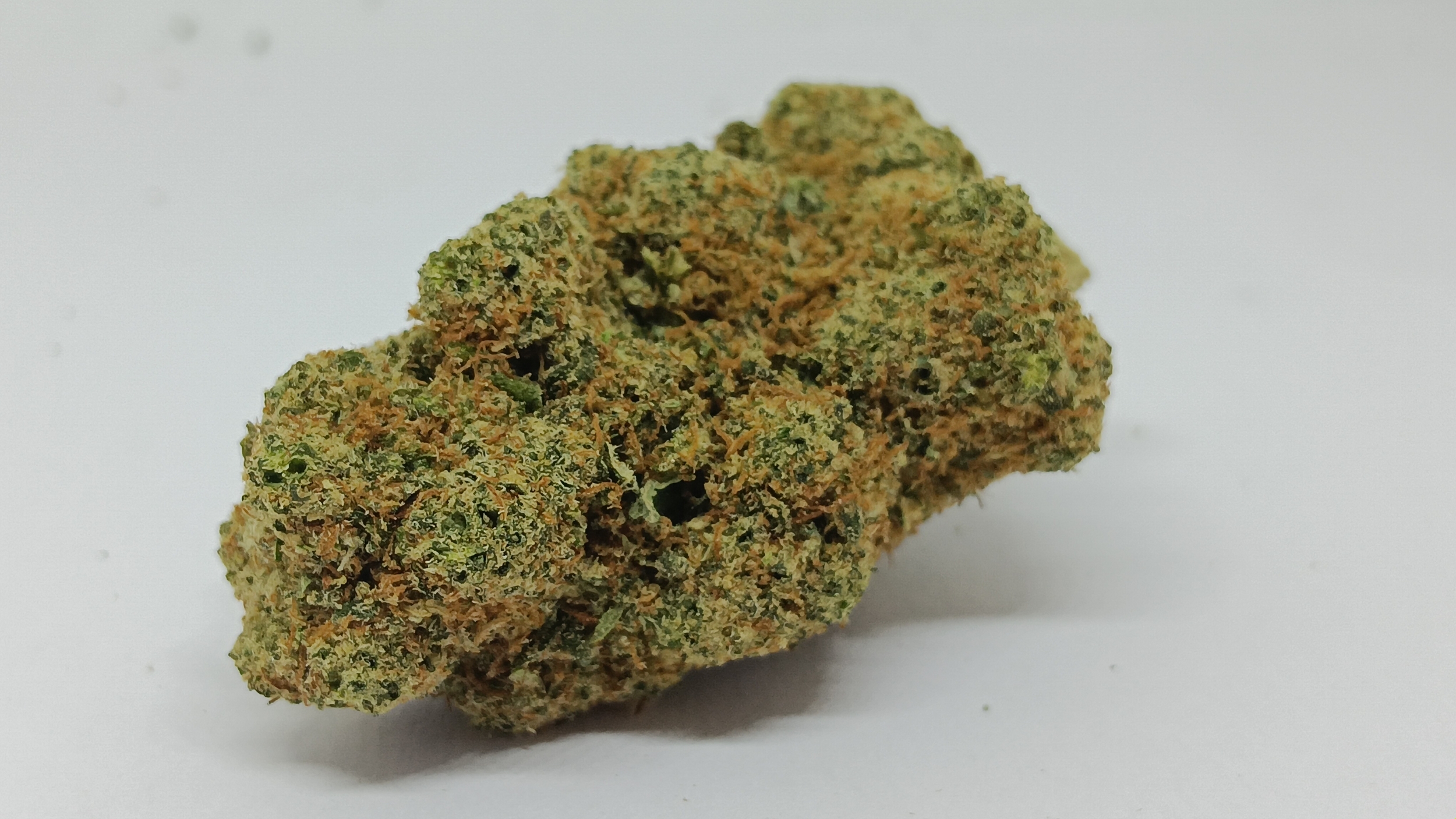 indoor skittlez