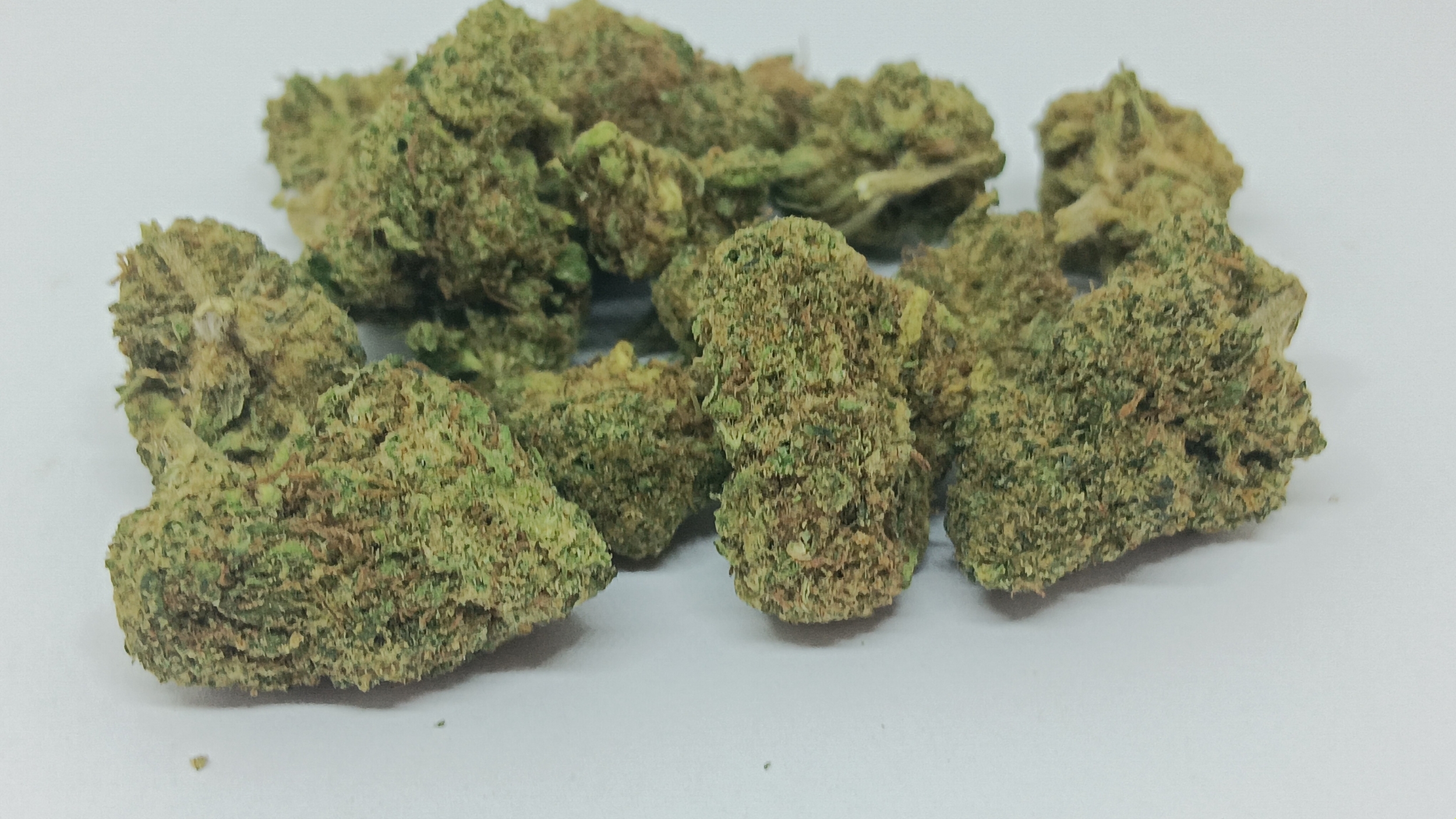 mango cali small