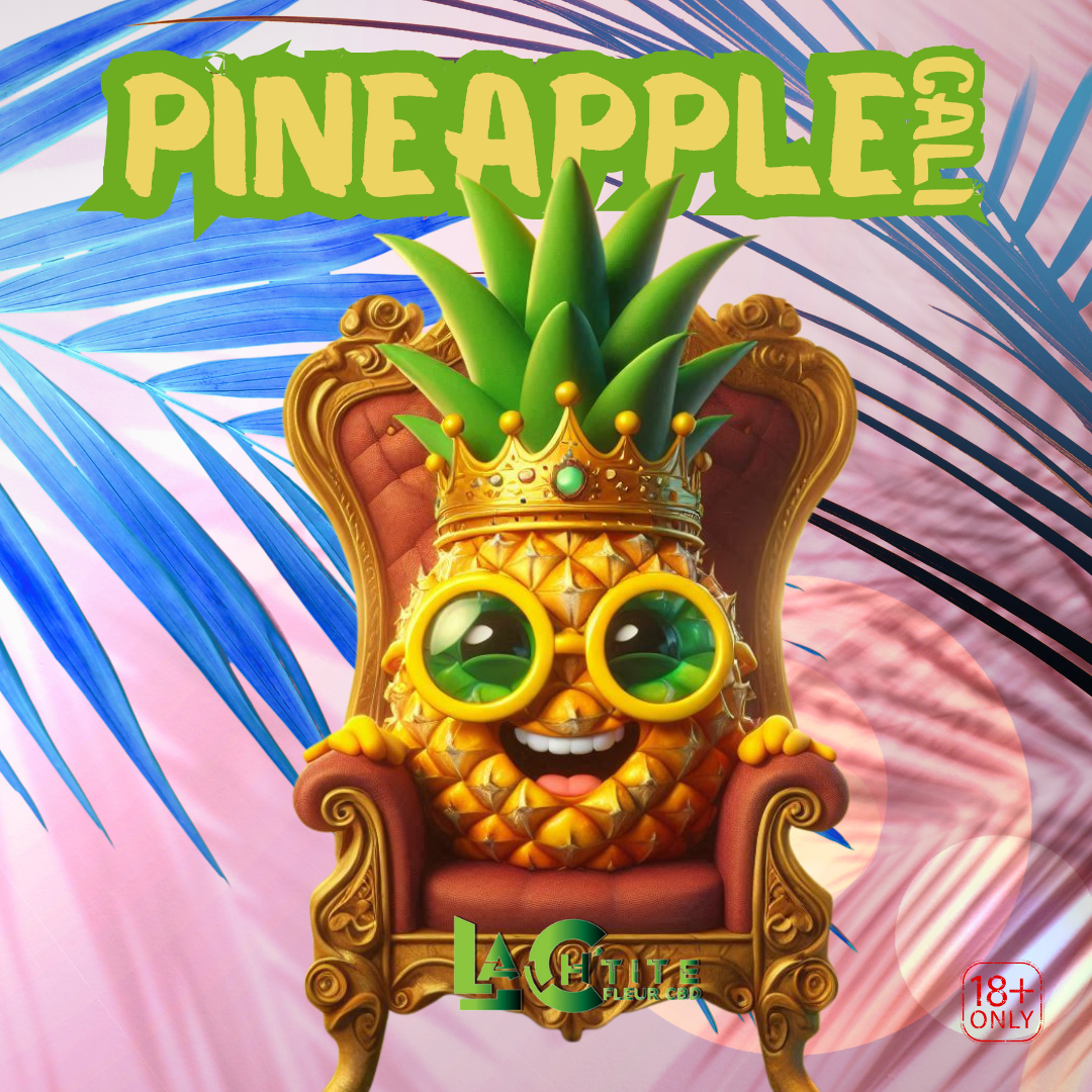 Pinneaple cali réseaux2