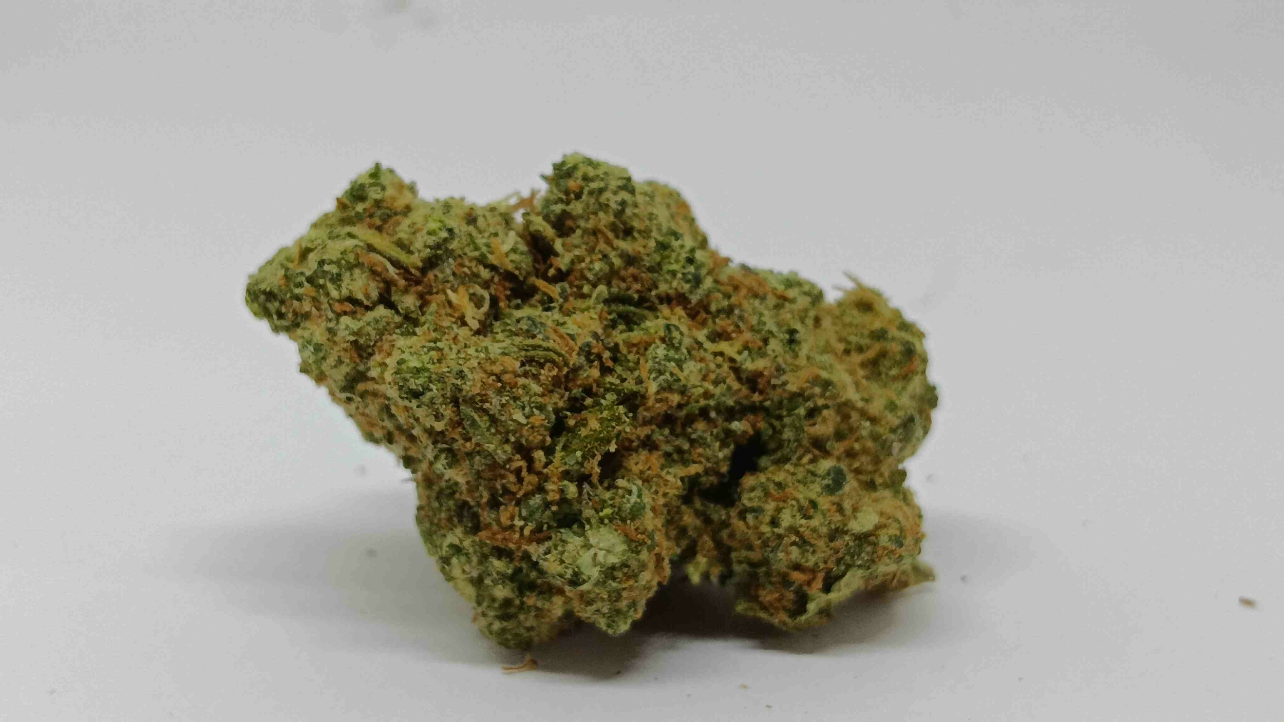 DARK BERRY-compressed