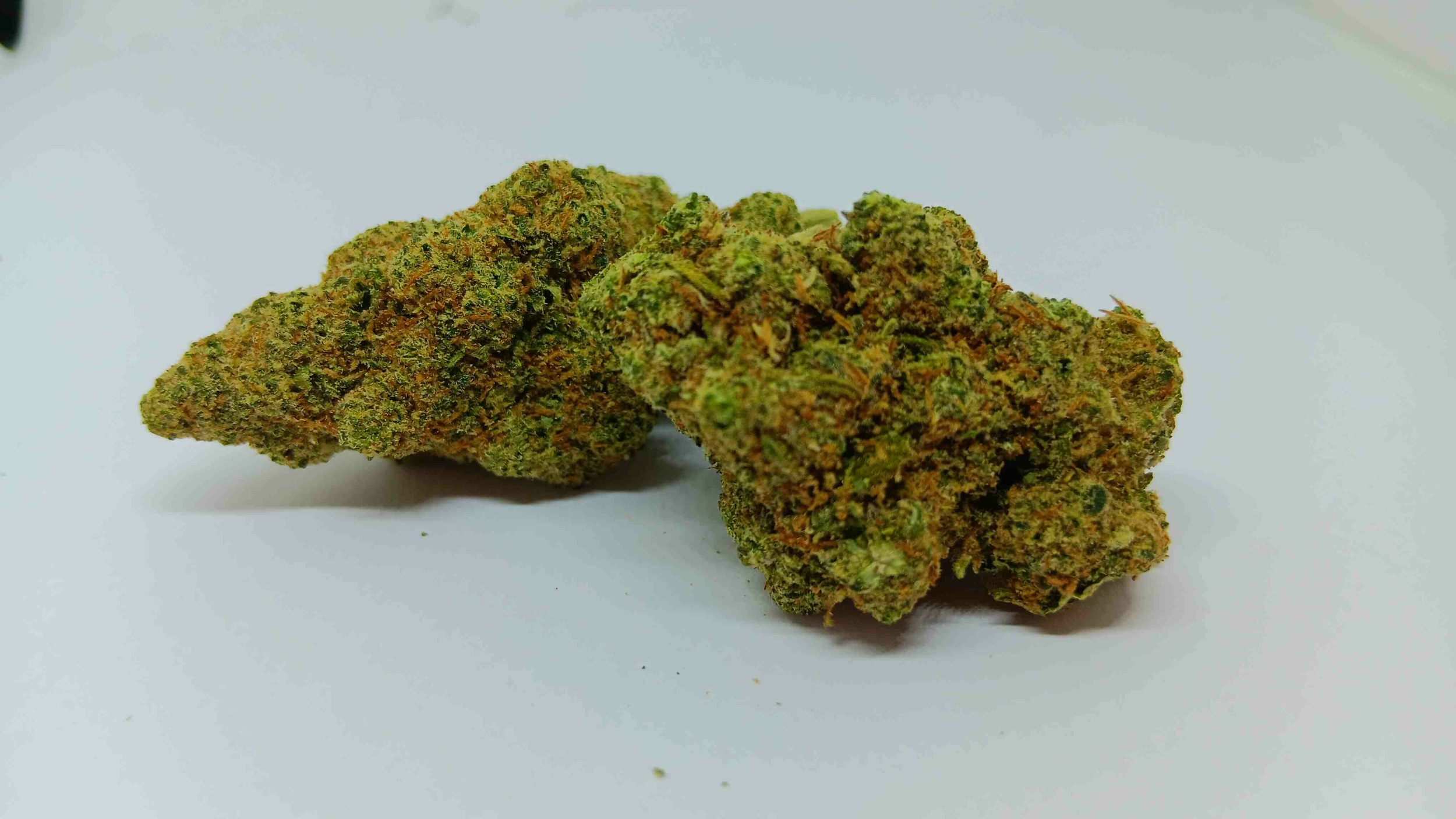 DARKBERRY-compressed