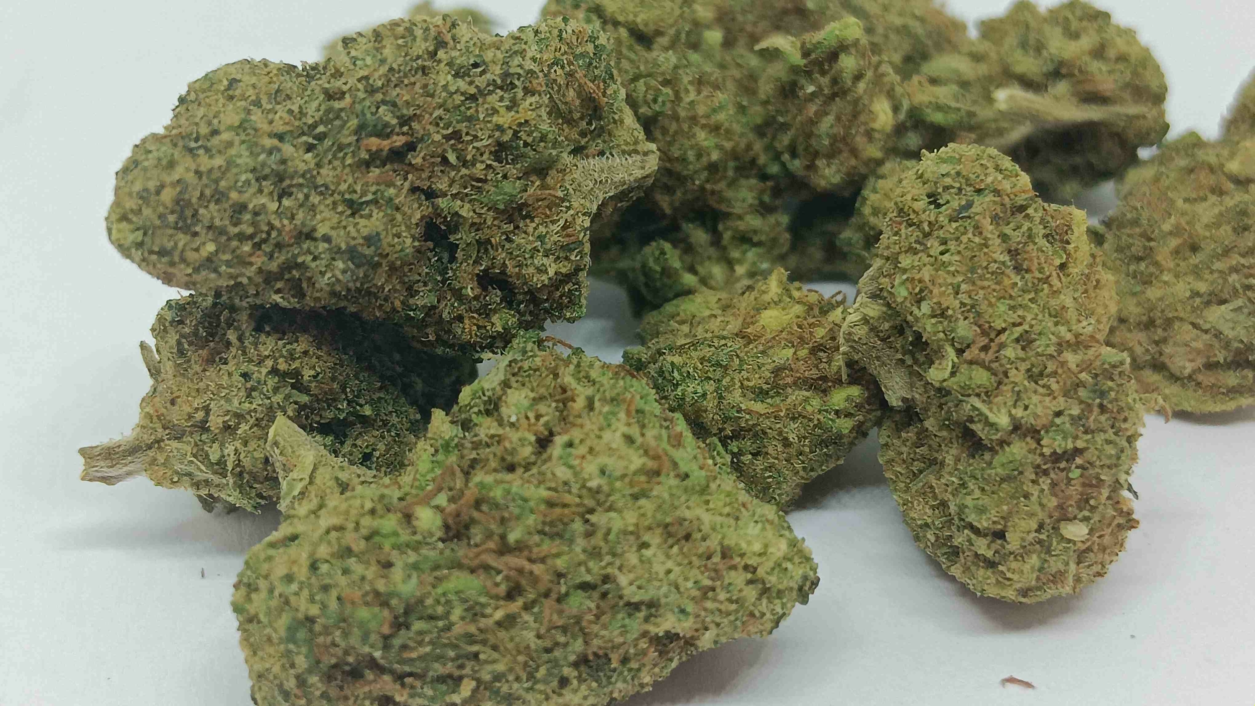 mango cali small bud-compressed