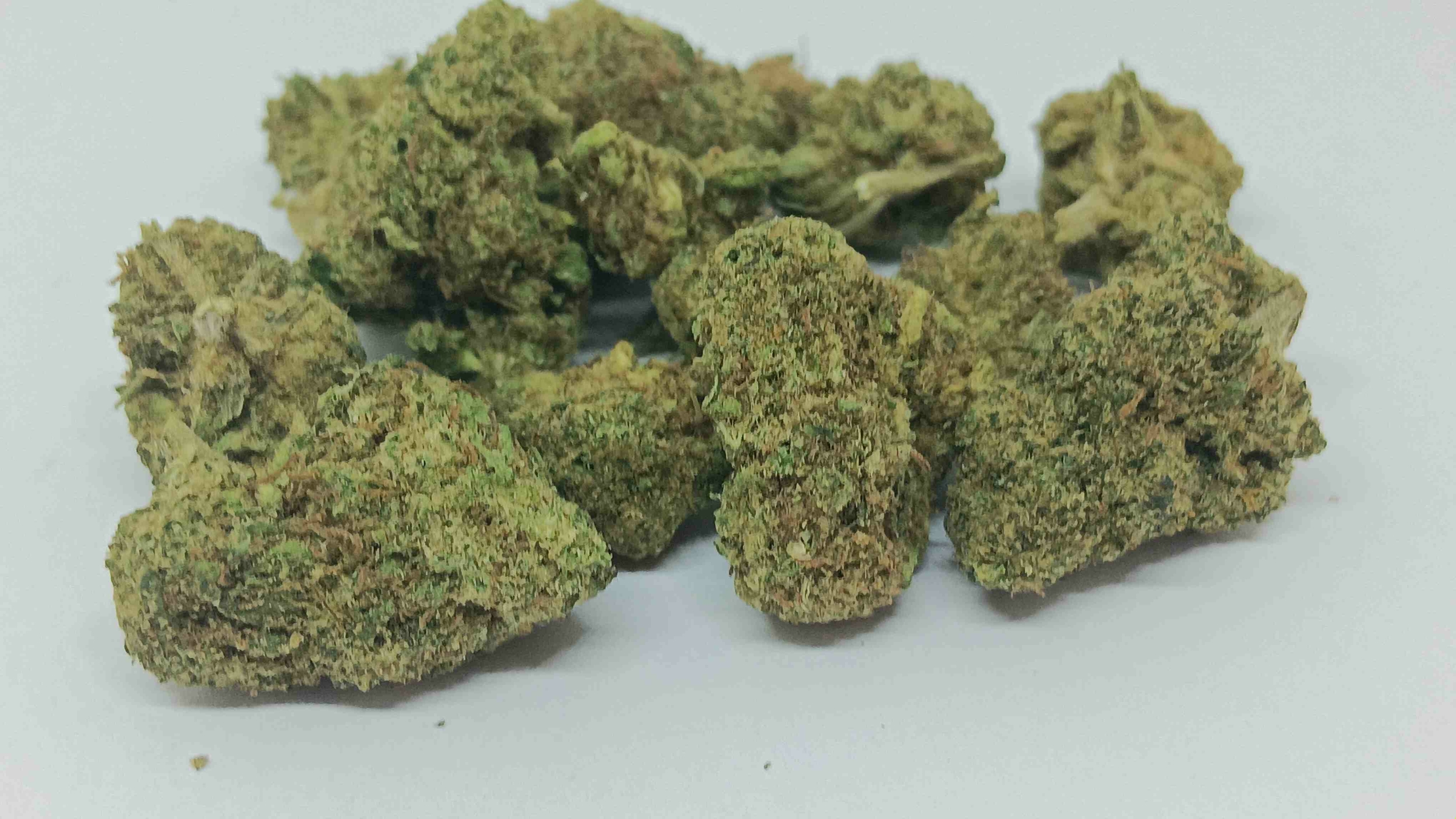 mango cali small-compressed