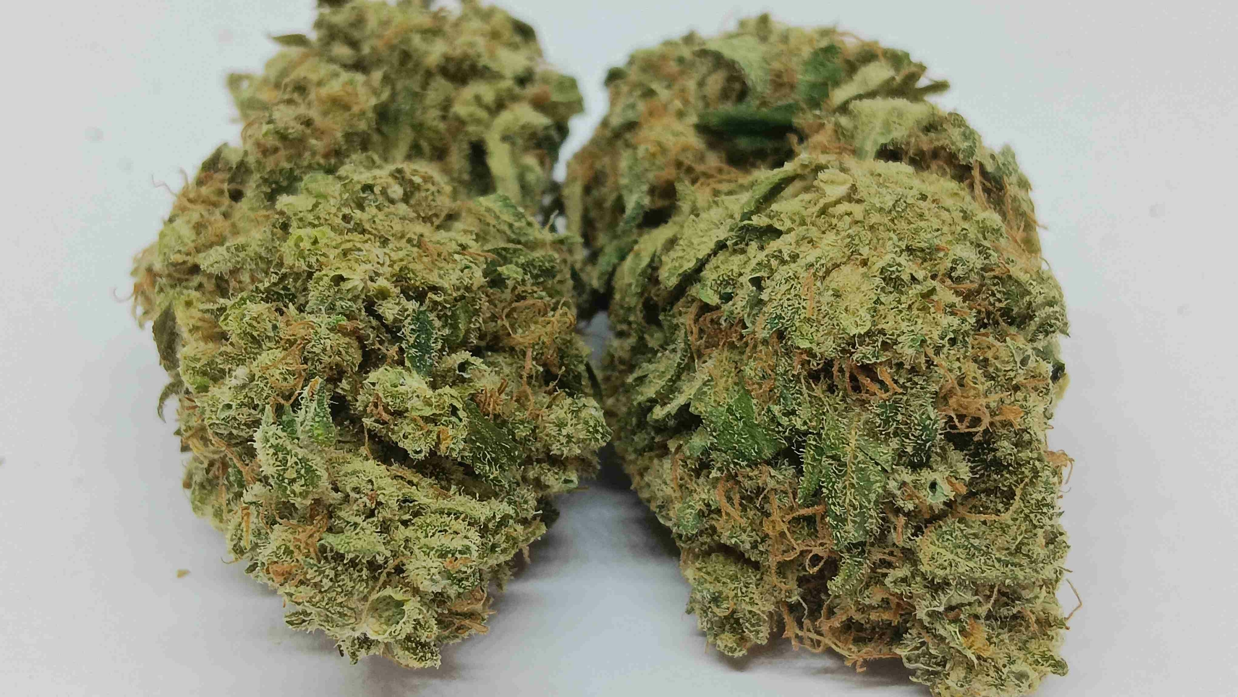 blue dream-compressed