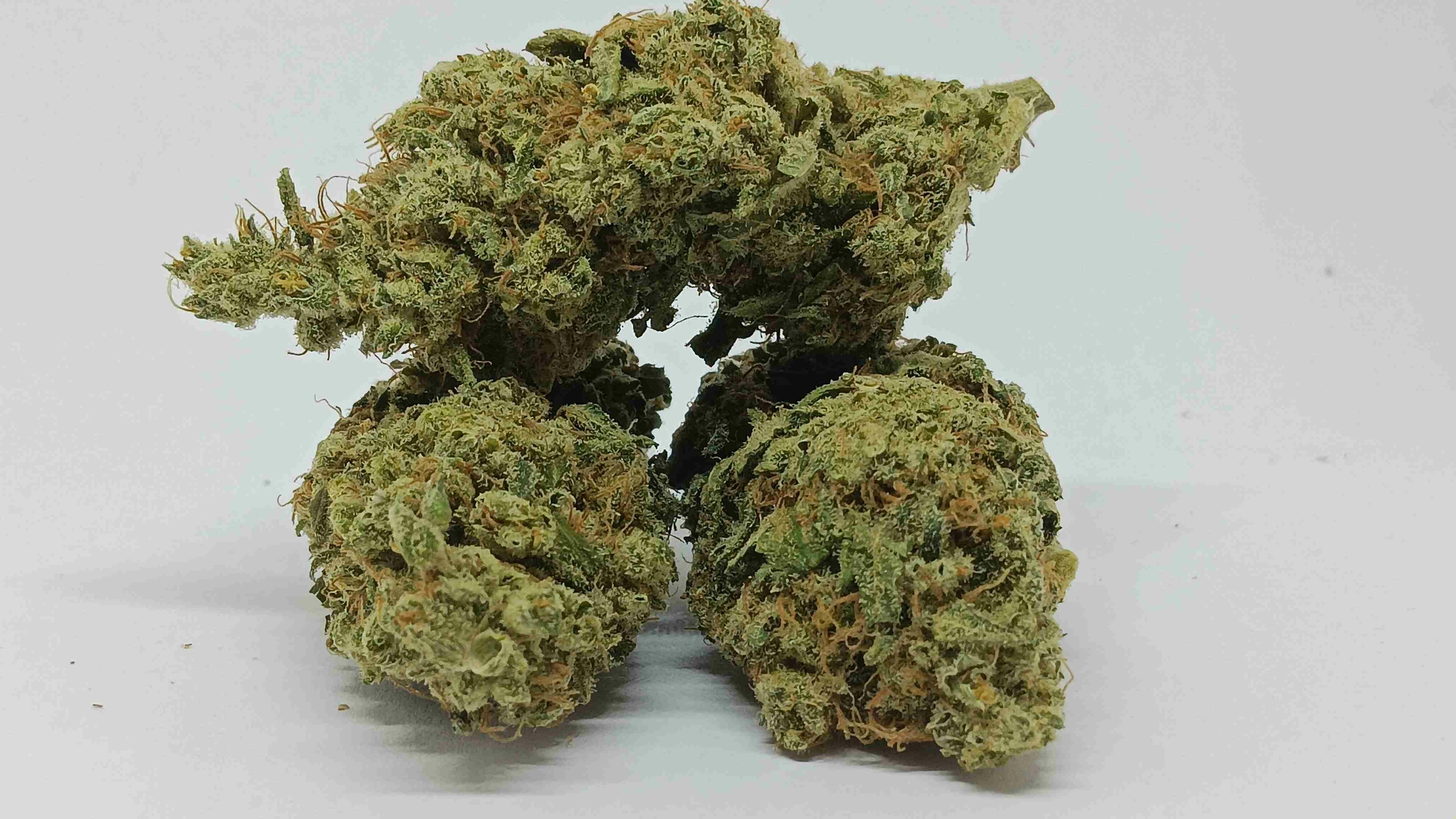 cbd blue dream-compressed