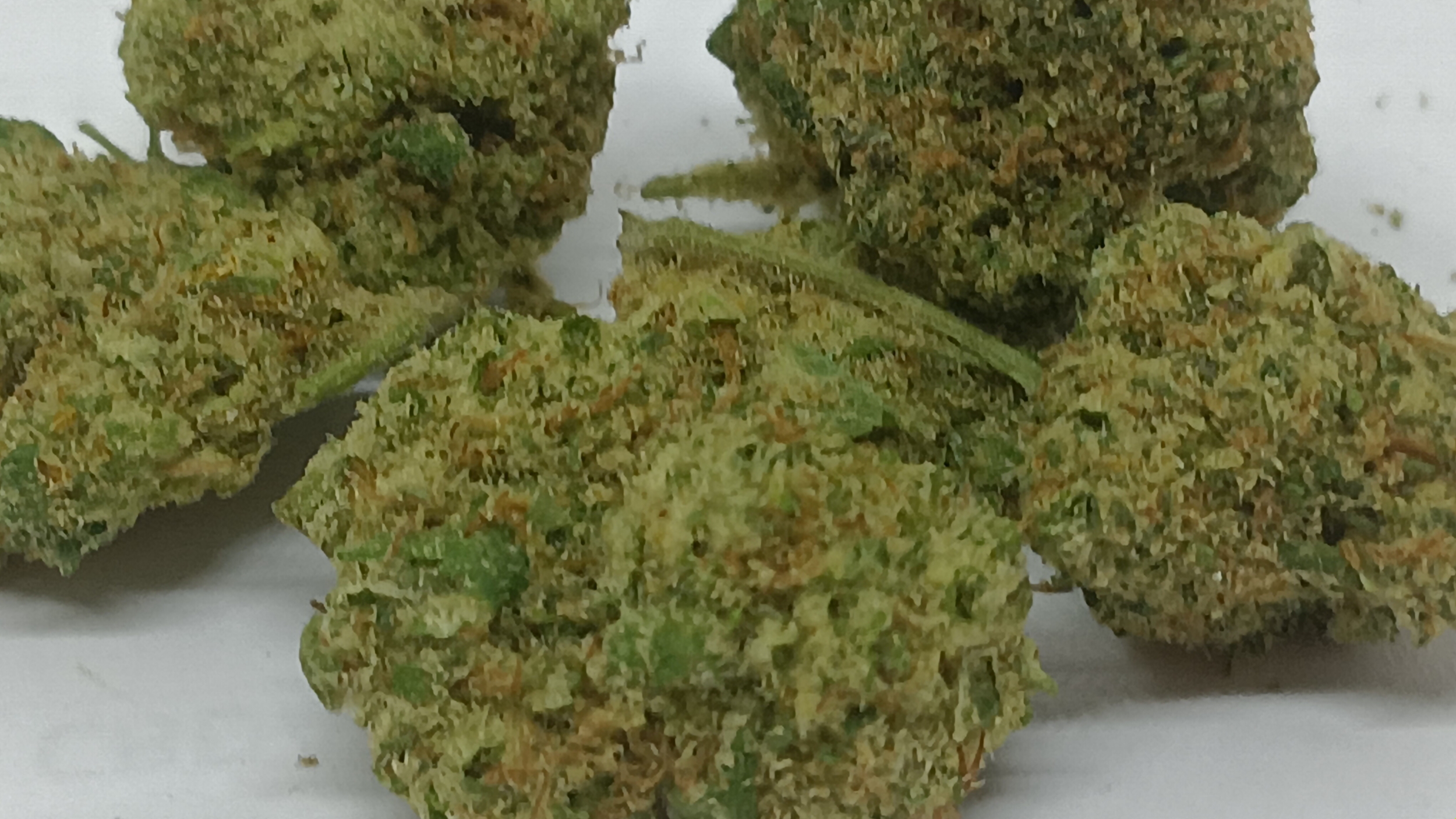 california cbd kush