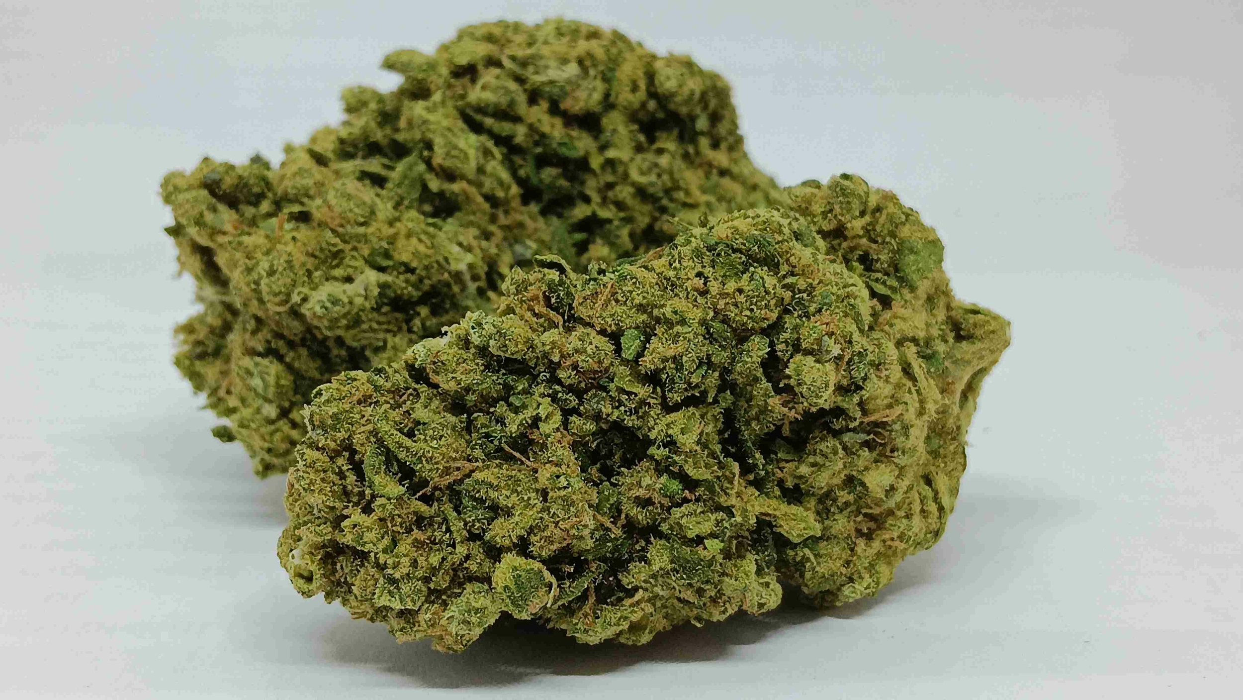 royal chesse cbd indoor
