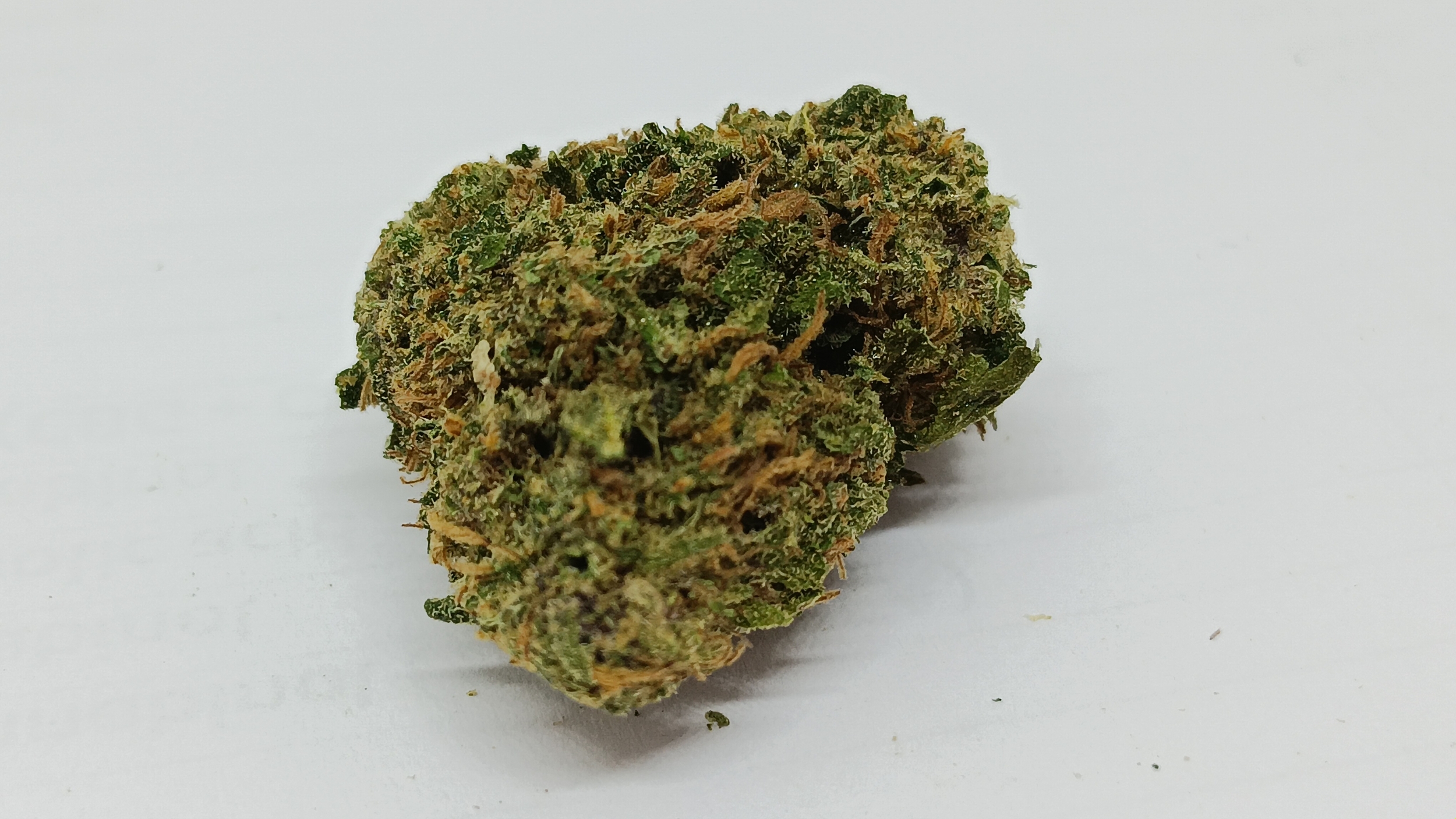 bomb apple