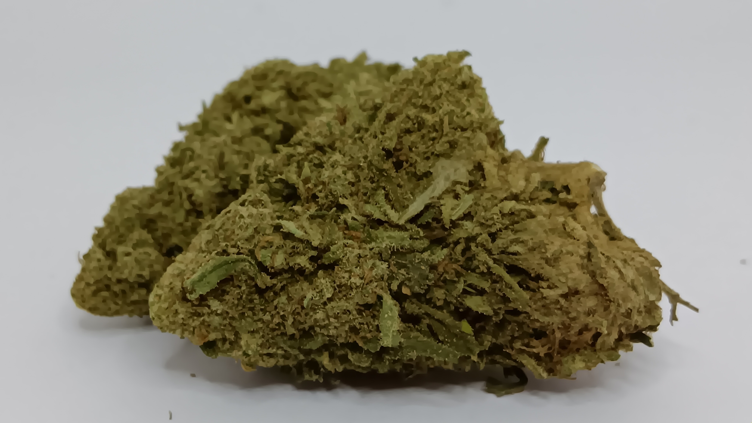 alien cbd indoor og