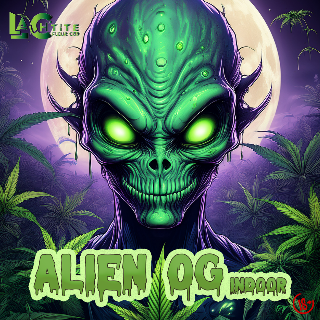 Alien OG Indoor