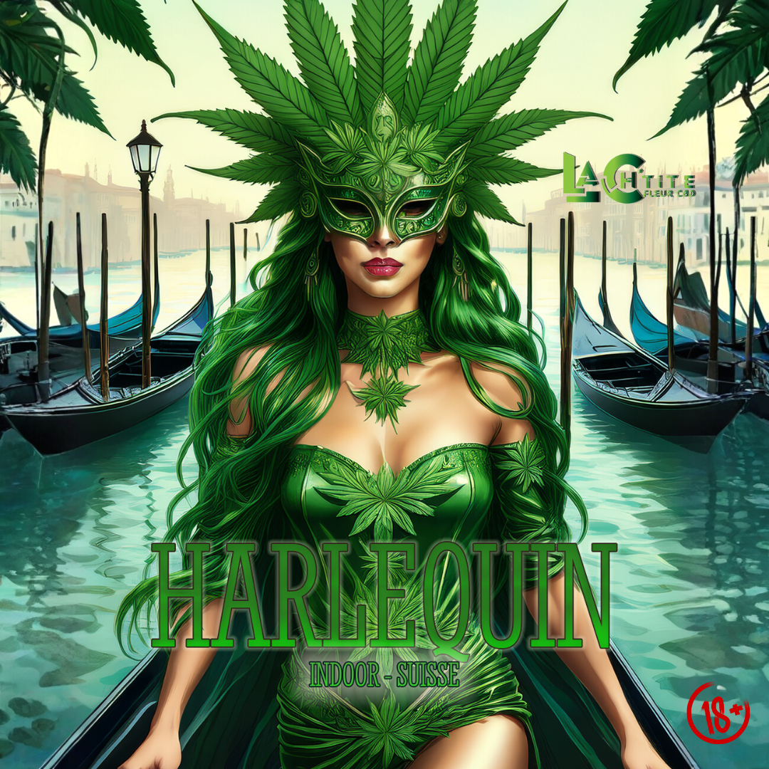 Harlequin cbd indoor