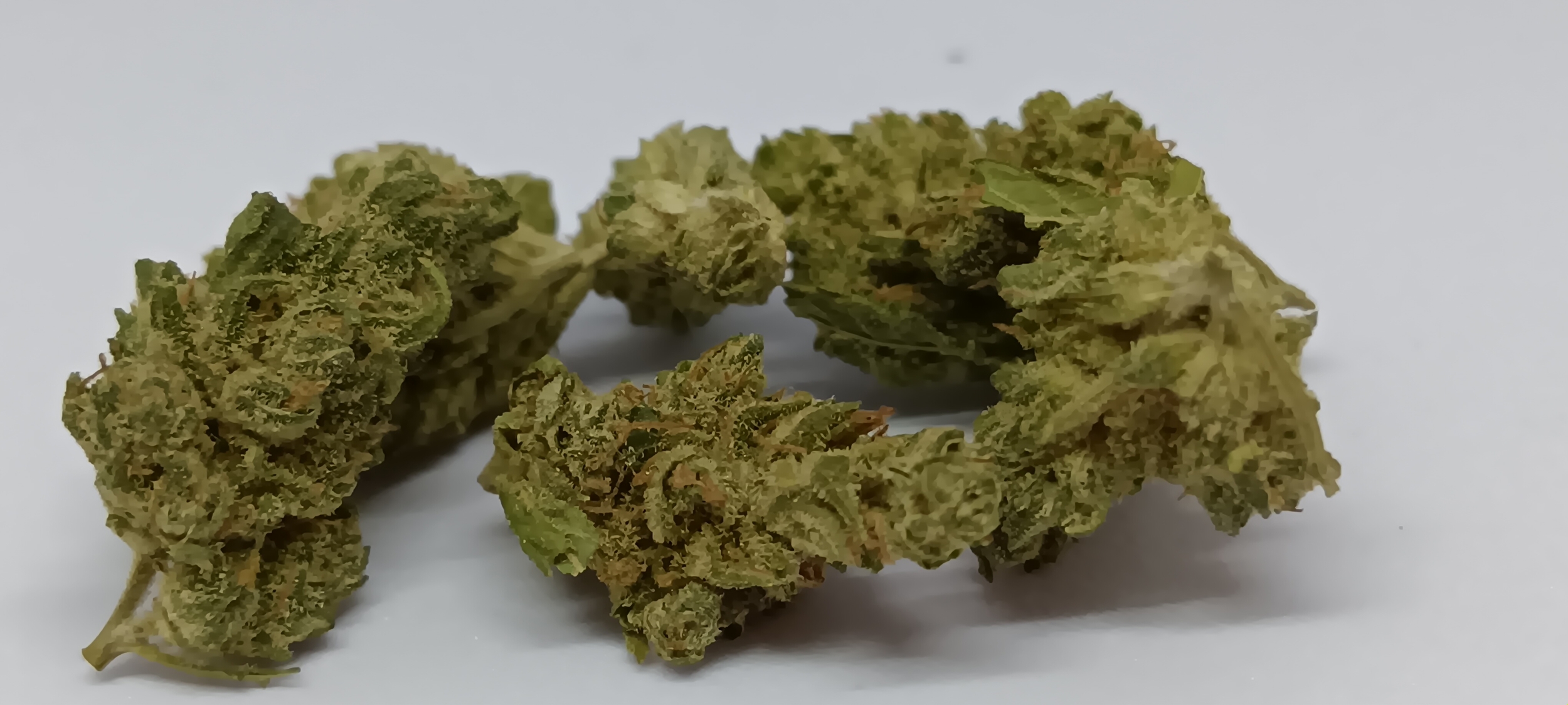 cbd mr3