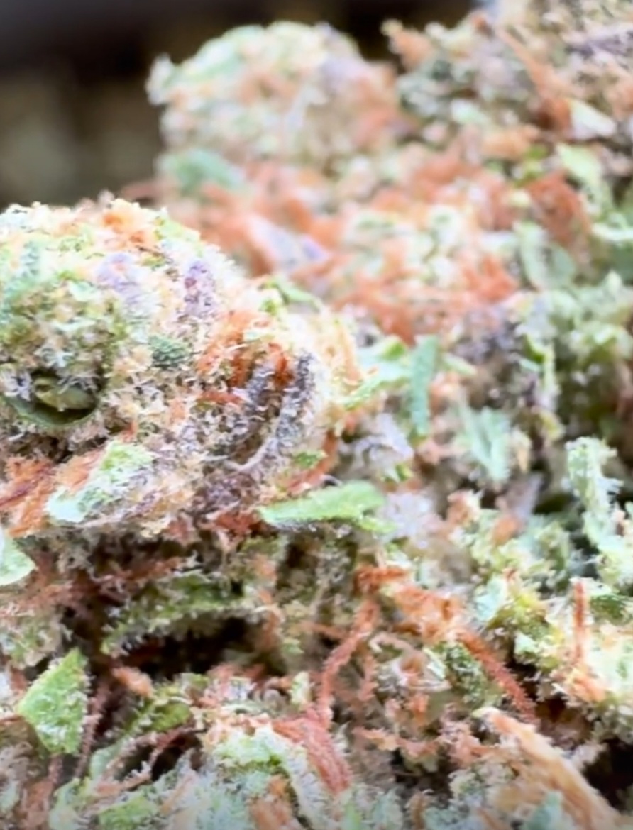 super lemon cbd hydro
