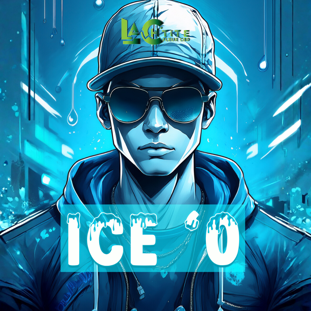 ice-o réseau