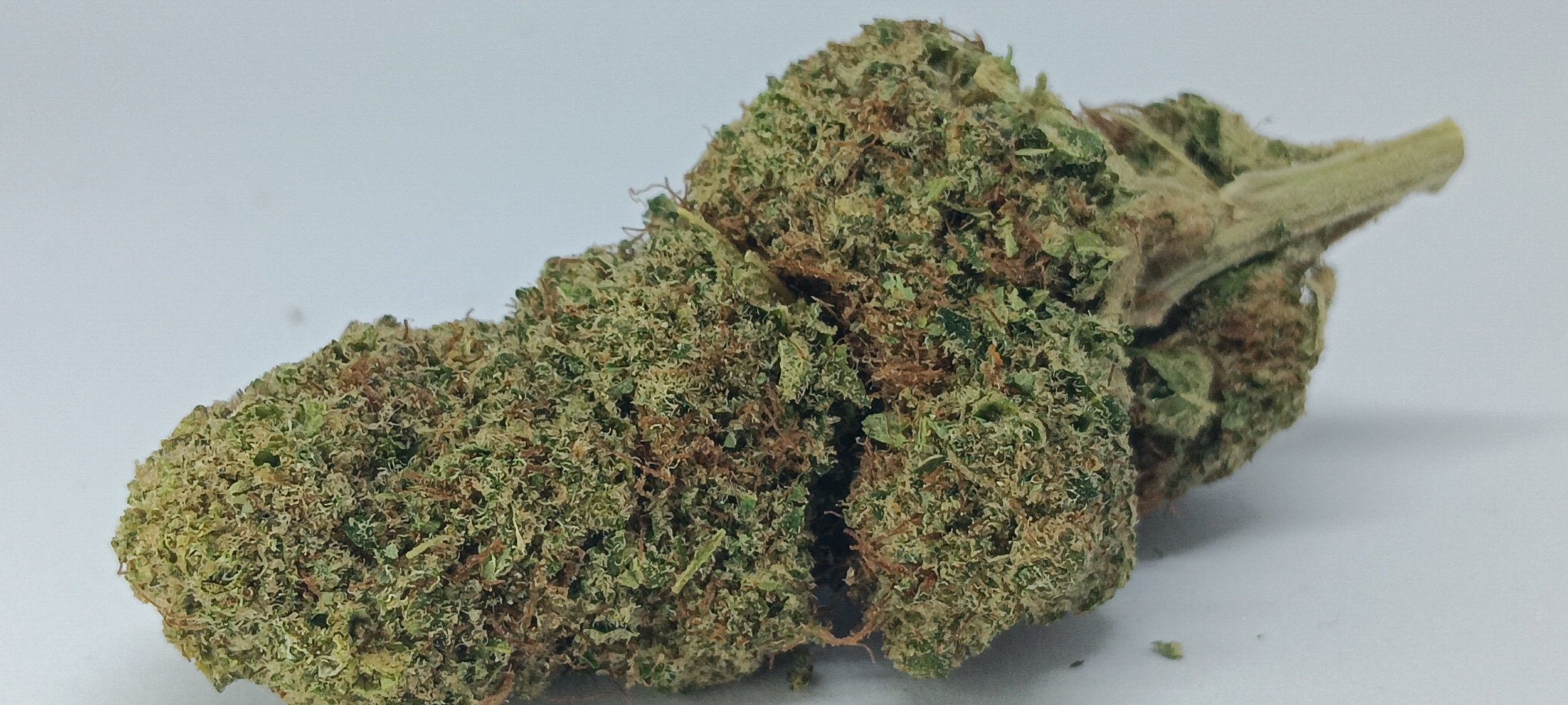 RS11 CBD