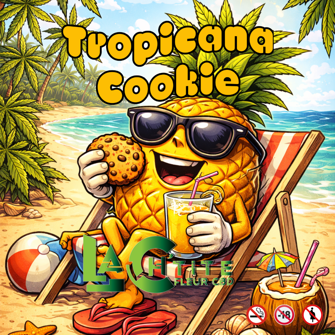 tropicana réseaux