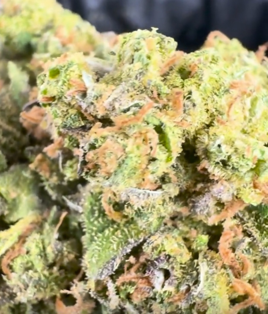 Tropicana Cookie Indoor CBD