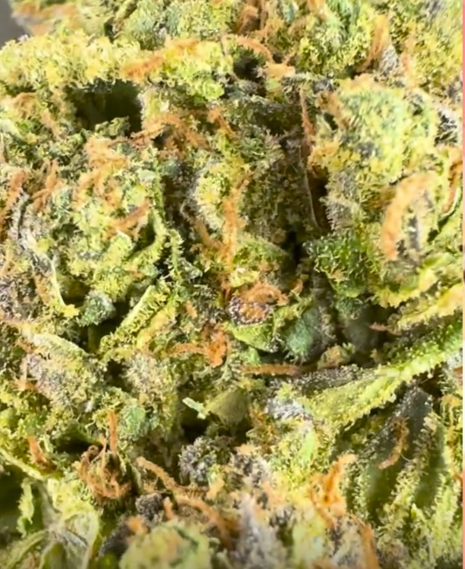 tropicana cookie
