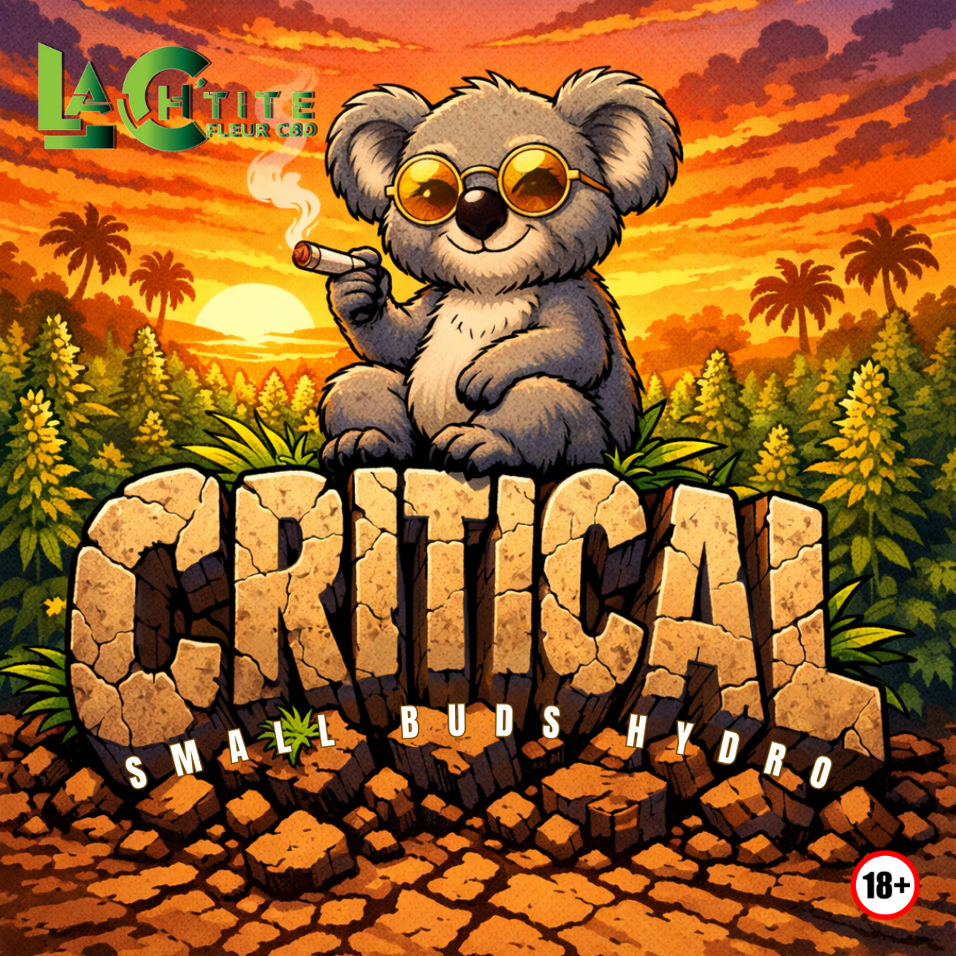 Critical Small Bud Hydro