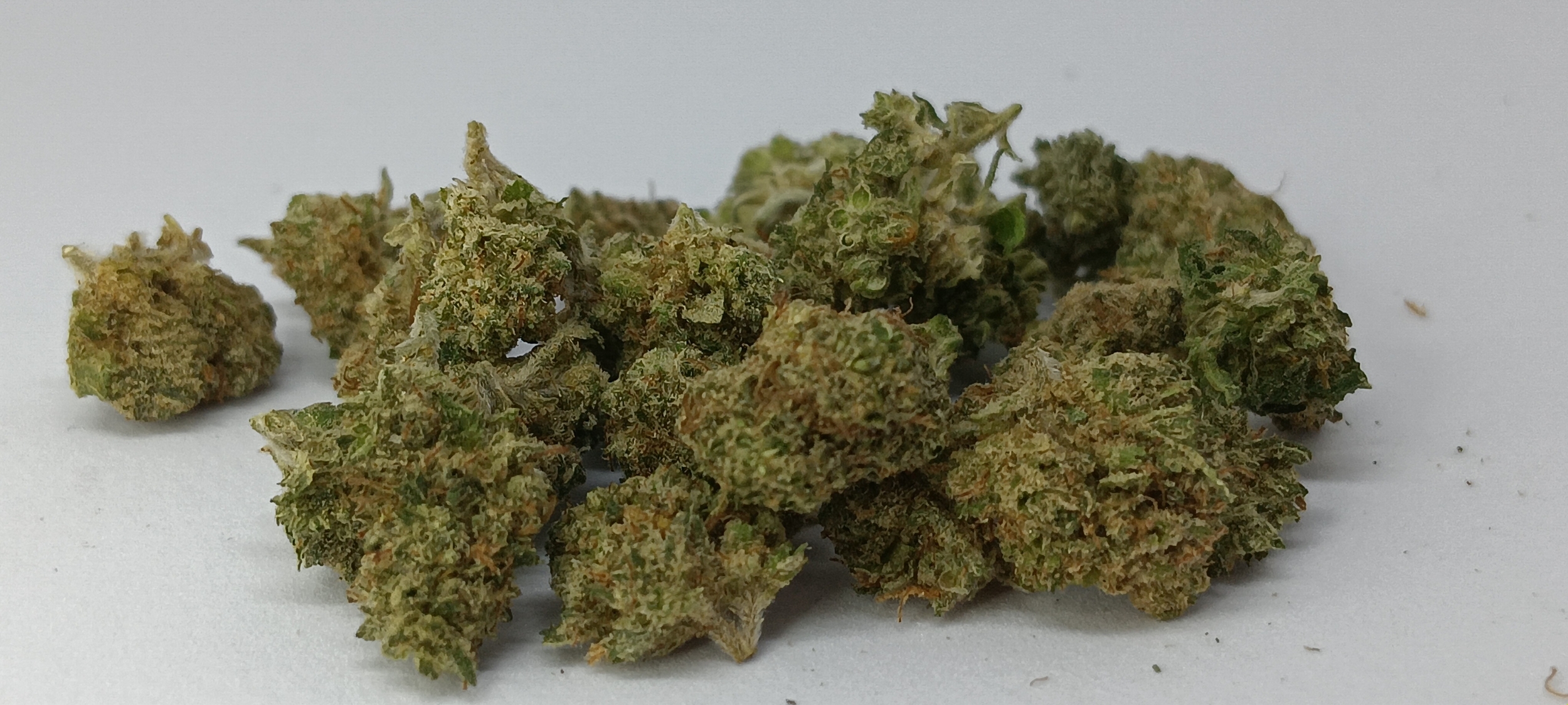 critical cbd