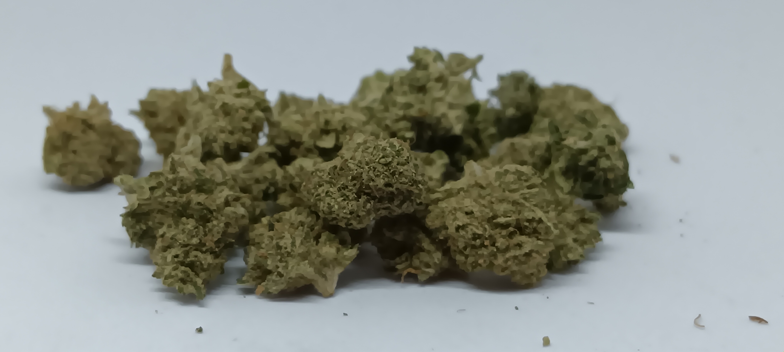 critical cbd small hydro