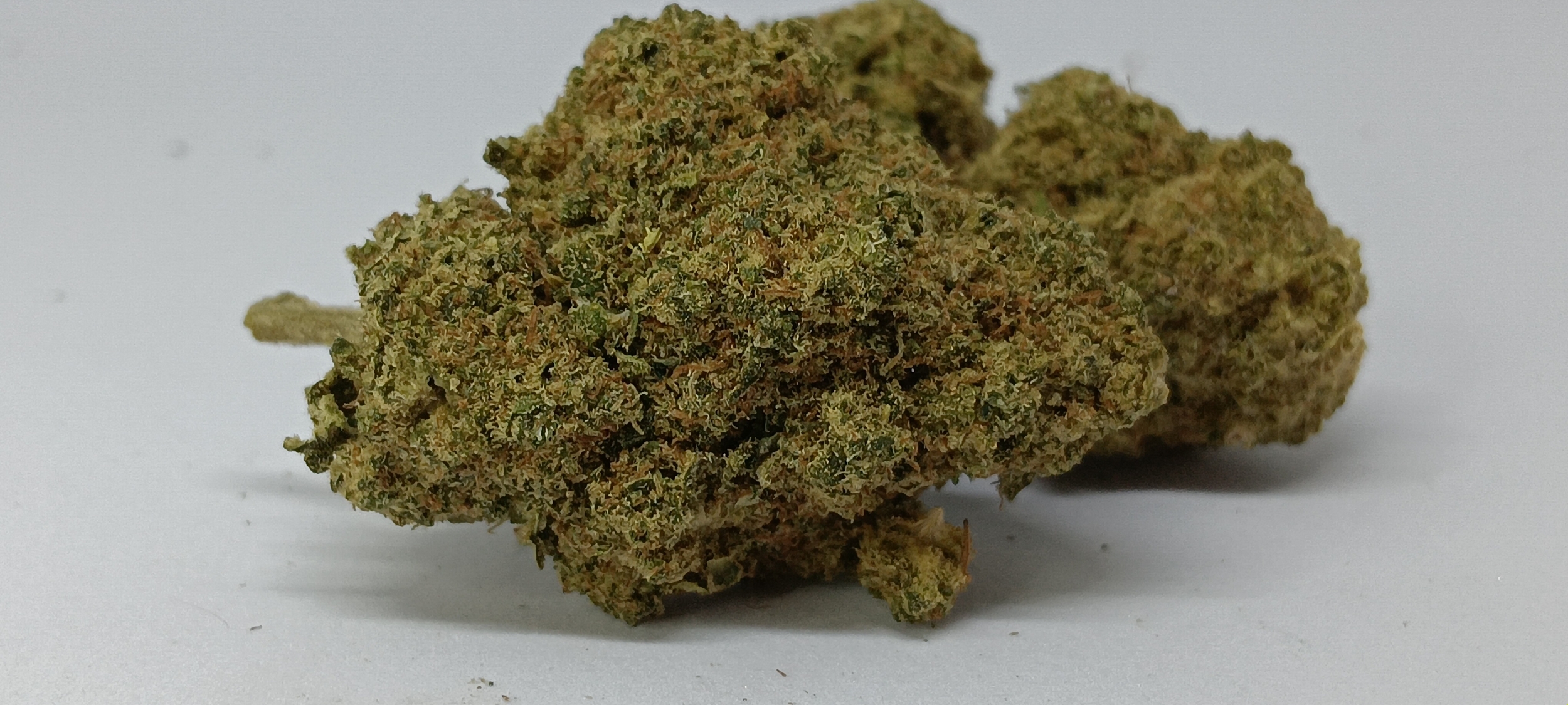 icc cali