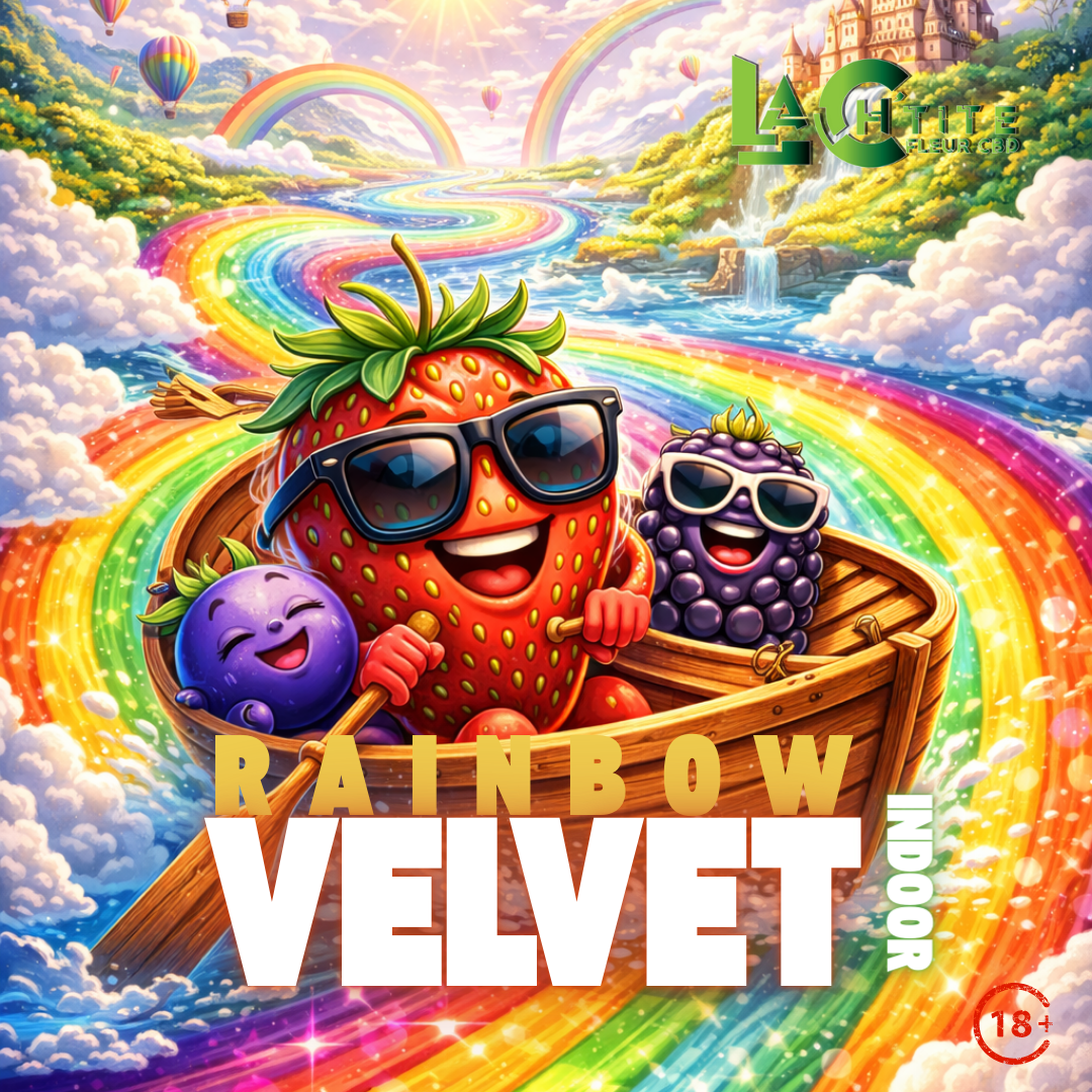 Rainbow Velvet Indoor